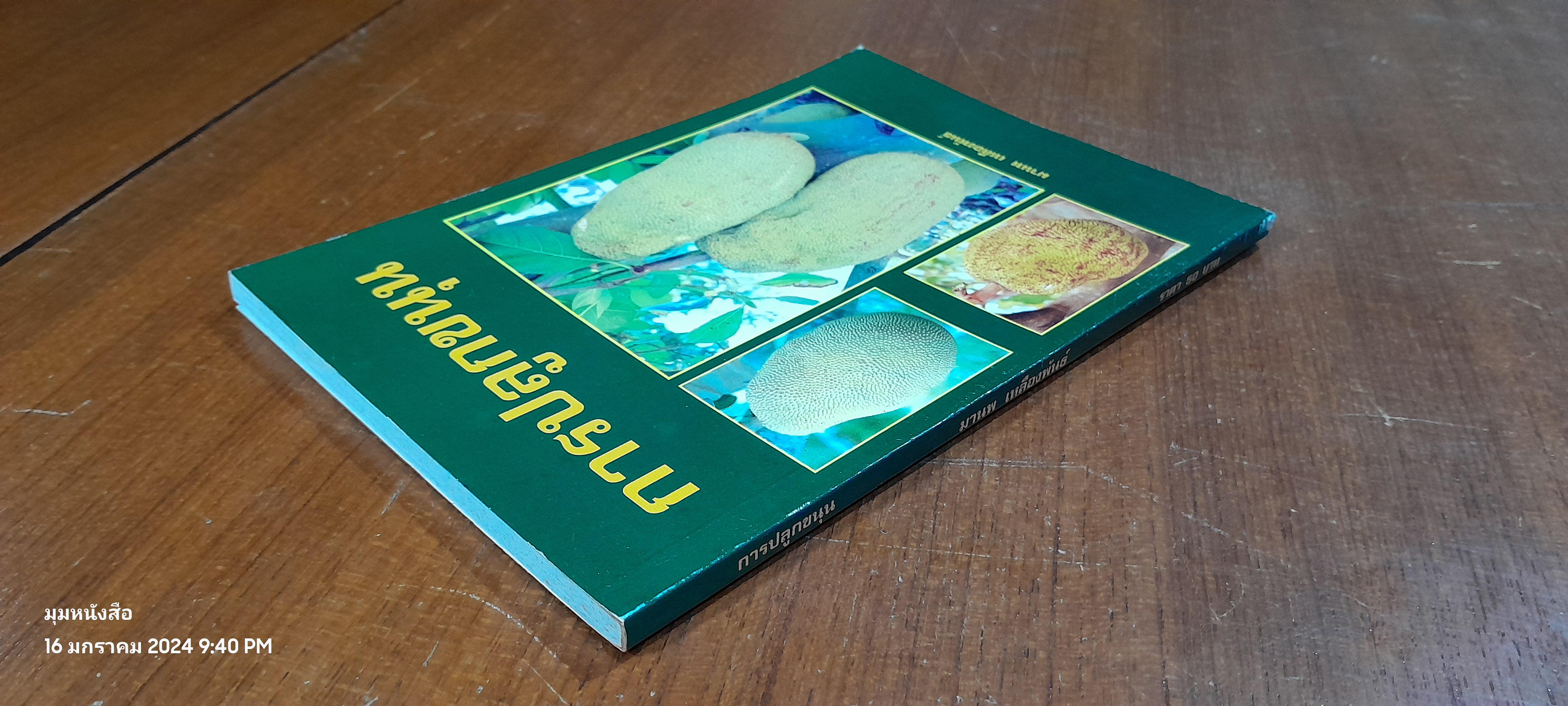 การปรูกขนุน / มานพ เหลืองพันธ์