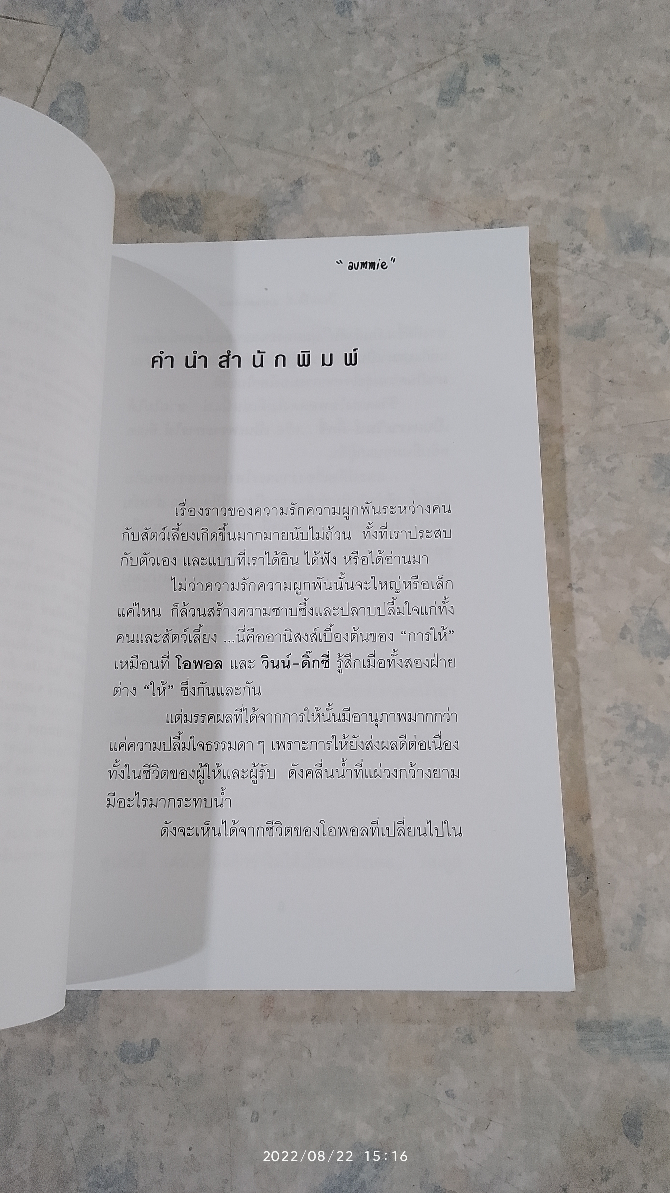 วินน์ - ดิ๊กซี่ สุนัขร้านชำ - ทำเหตุ / เคท ดิคามิลโล