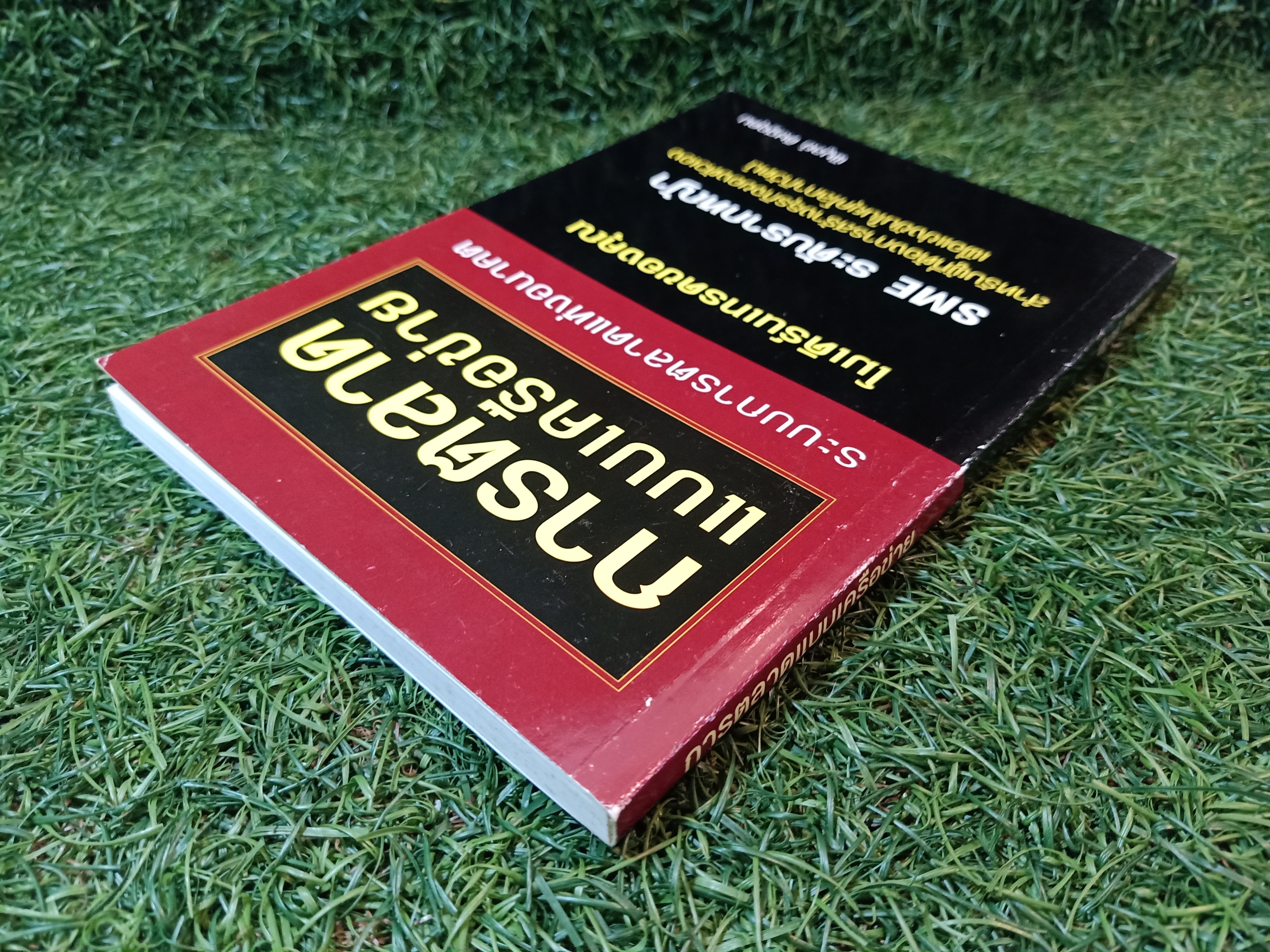 การตลาด แบบเครือข่าย(มีแผ่นซีดี) / พิบูลย์ ดิษฐอุดม