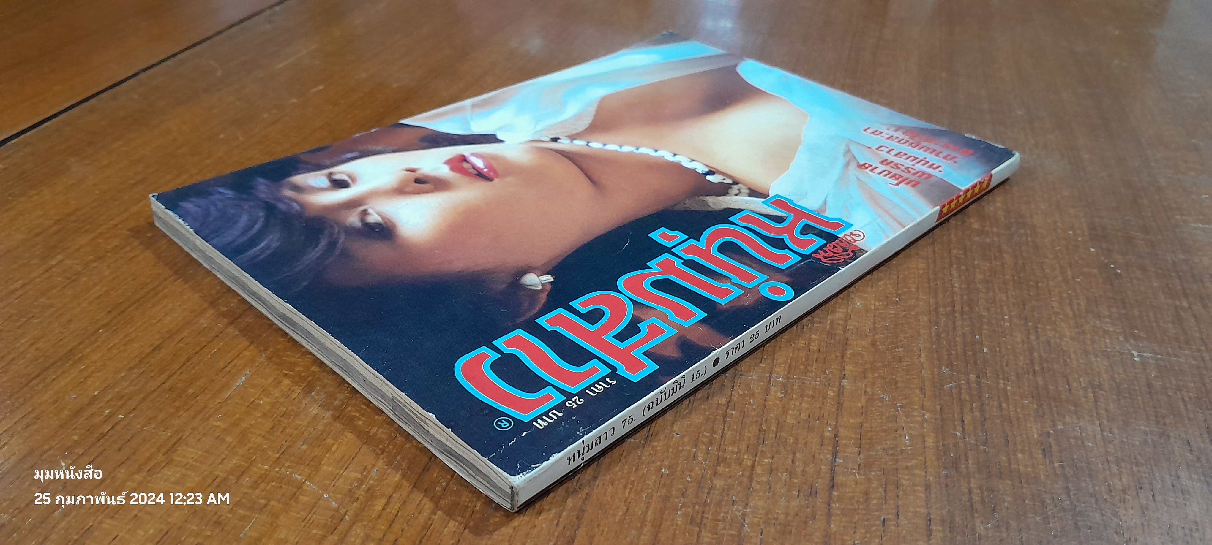 หนุ่มสาว (ฉบับมินิ 15)