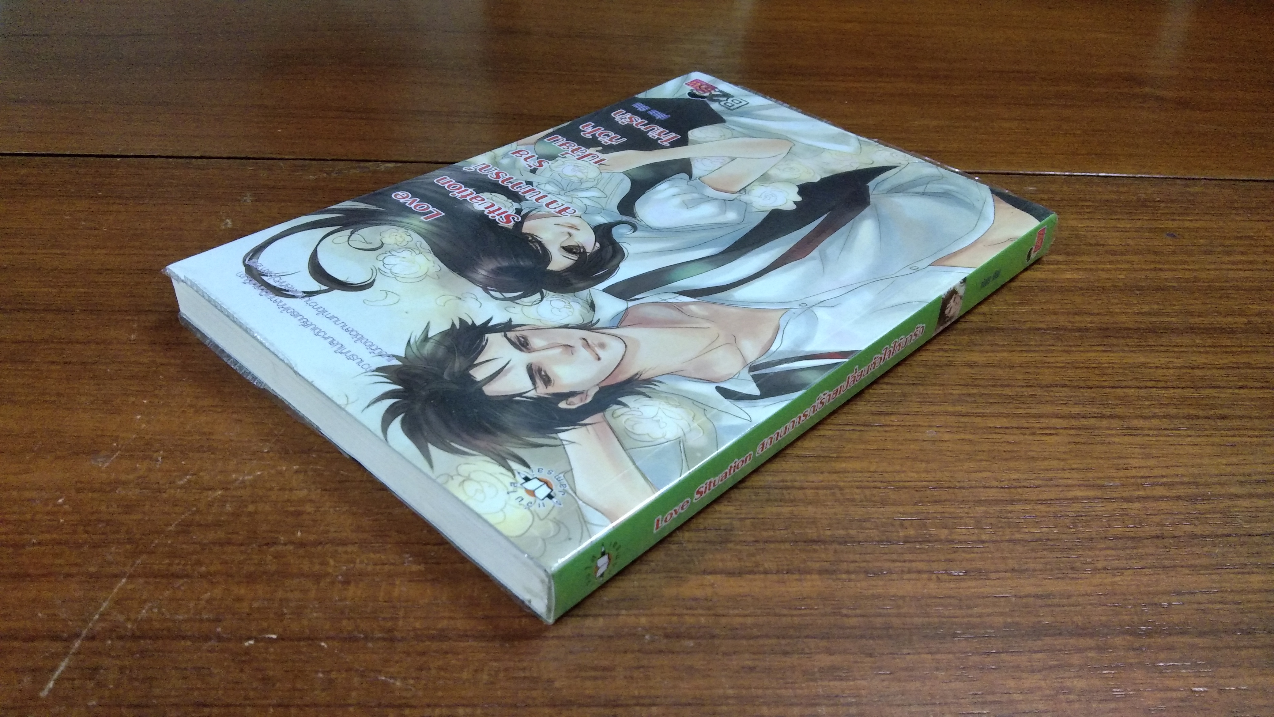 สถานการณ์ร้ายเปลี่ยนหัวใจให้มารัก / piano