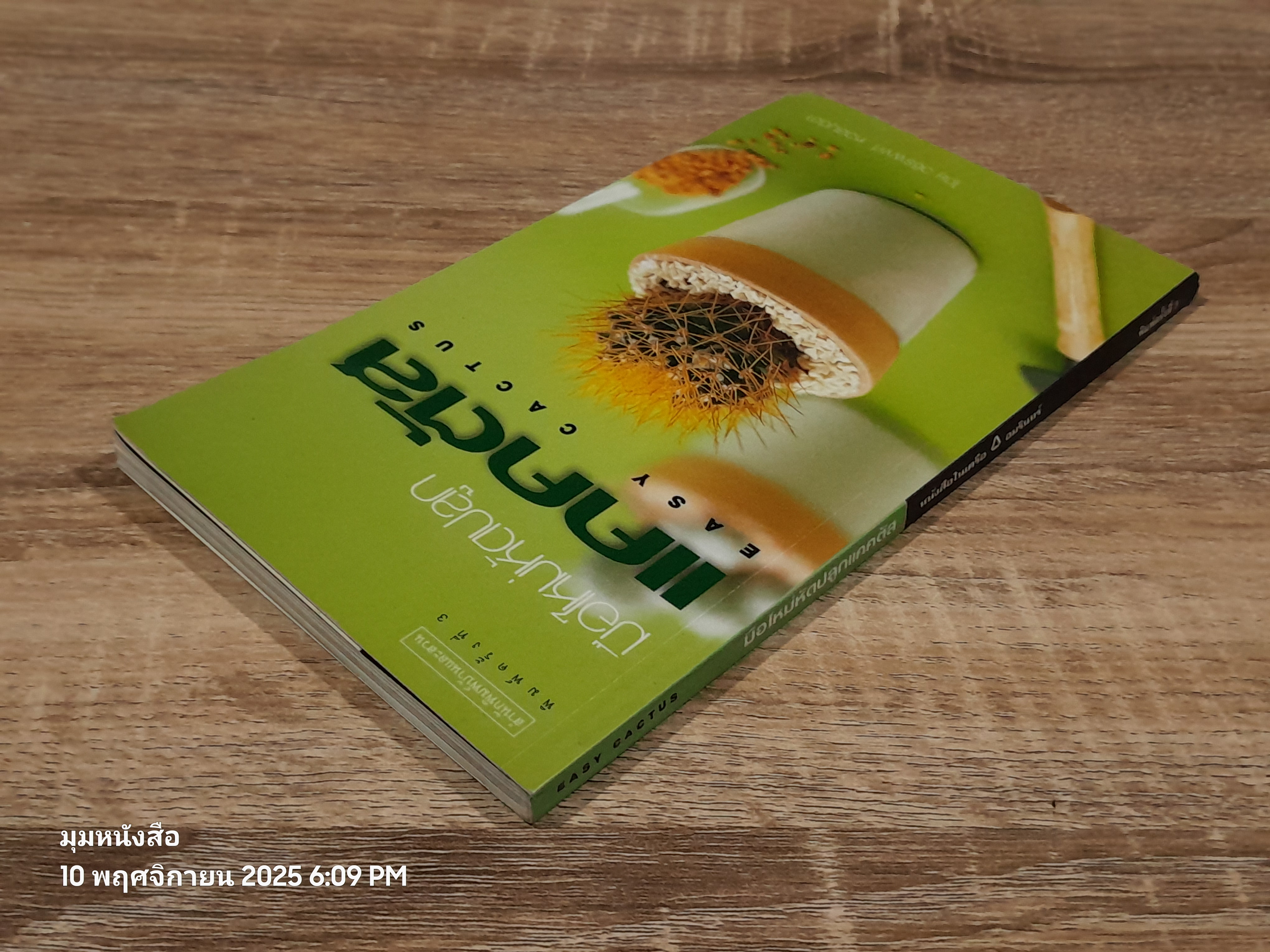 มือใหหม่หหัดปลูก แคคตัส / วชิรพงศ์ หหวลบุตตา