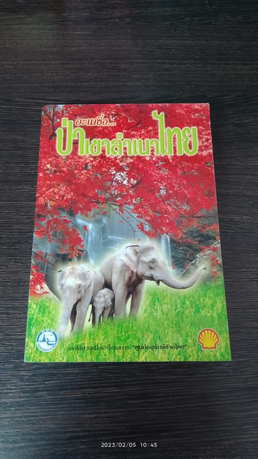 อะเมซิ่ง...ป่าเขาลำเนาไทย