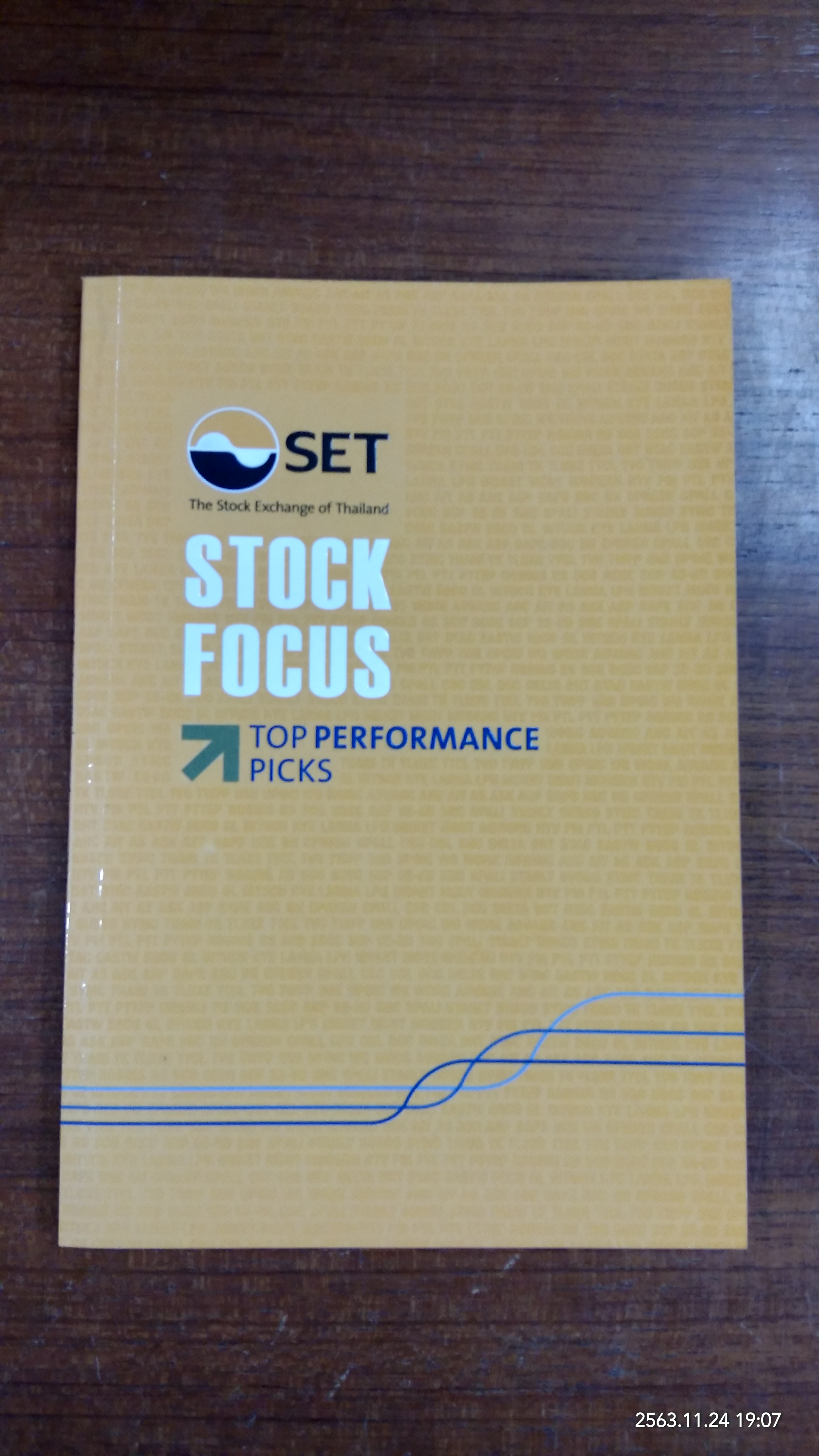 SEF Stock Focus 2013