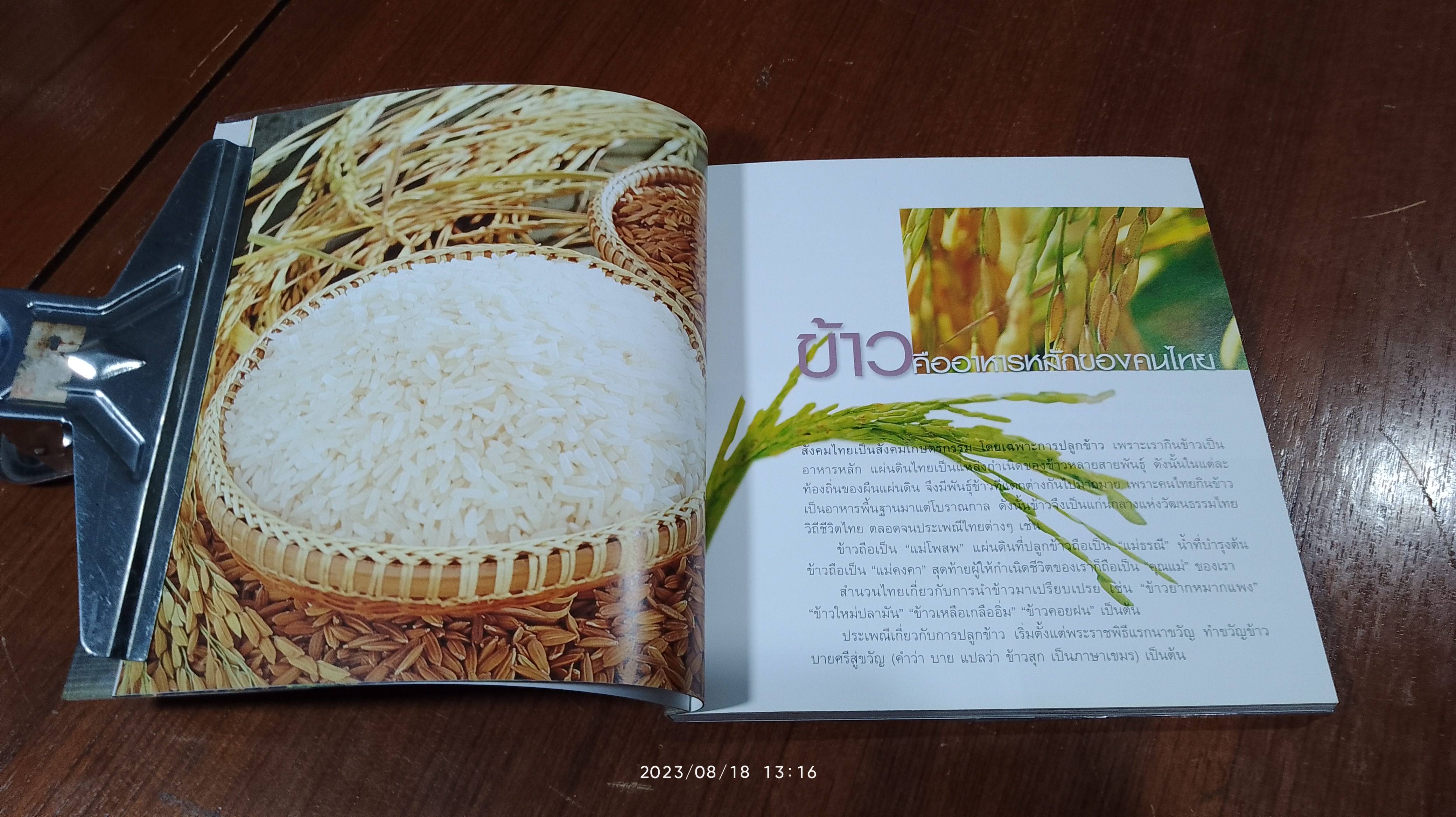 ข้าวกล้อง ข้าวงอก มหัศจรรย์อาหารต้านโรค / แสงแดด