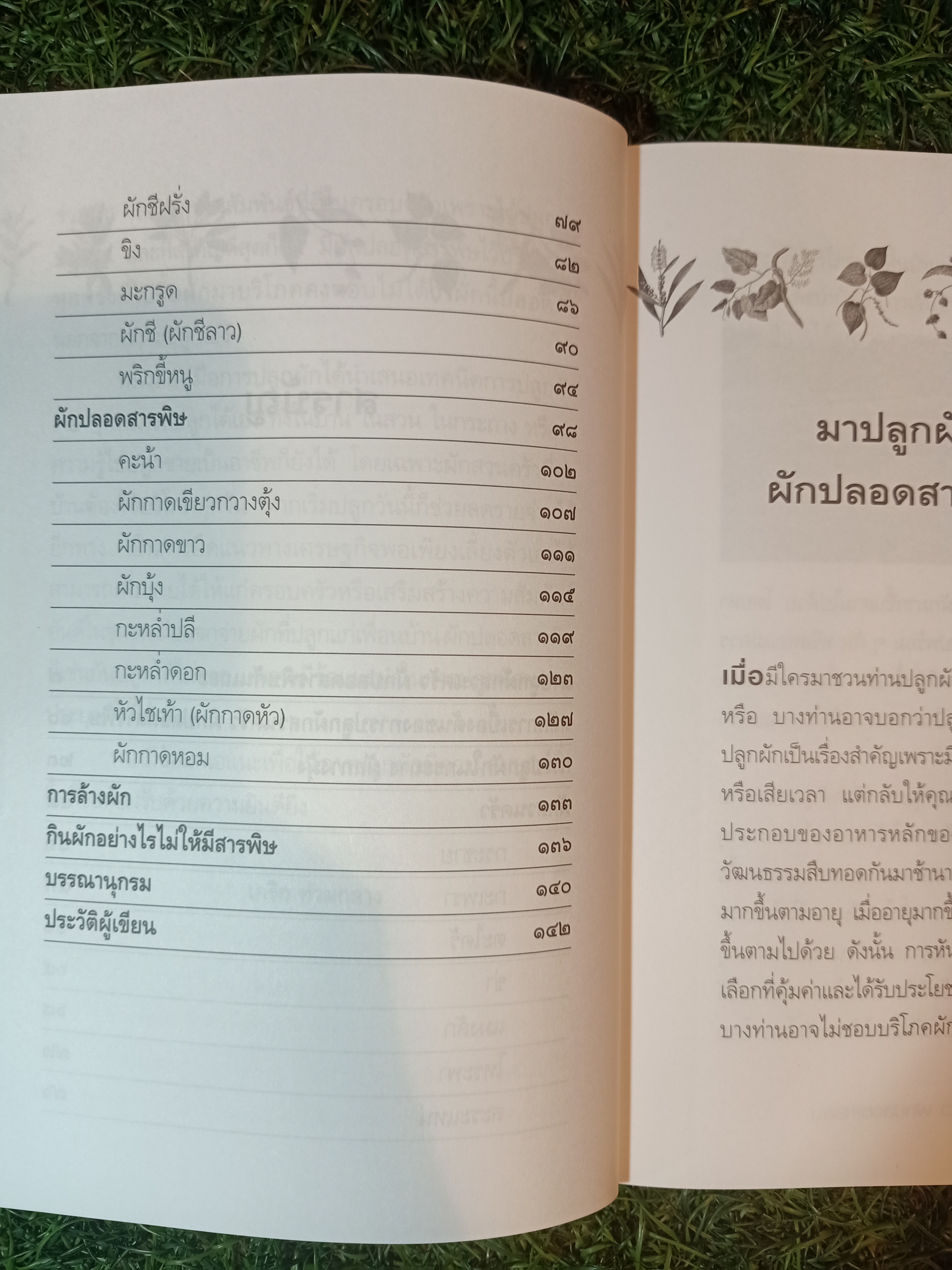 เทคนิคการปลูก ผักสวนครัว ผักปลอดสารเคมี คู่มือการเกษตรกรพึ่งตนเอง ชุด ปลูกผักเลี้ยงครอบครัว เล่ม ๒ / เกริก ท่วมกลาง