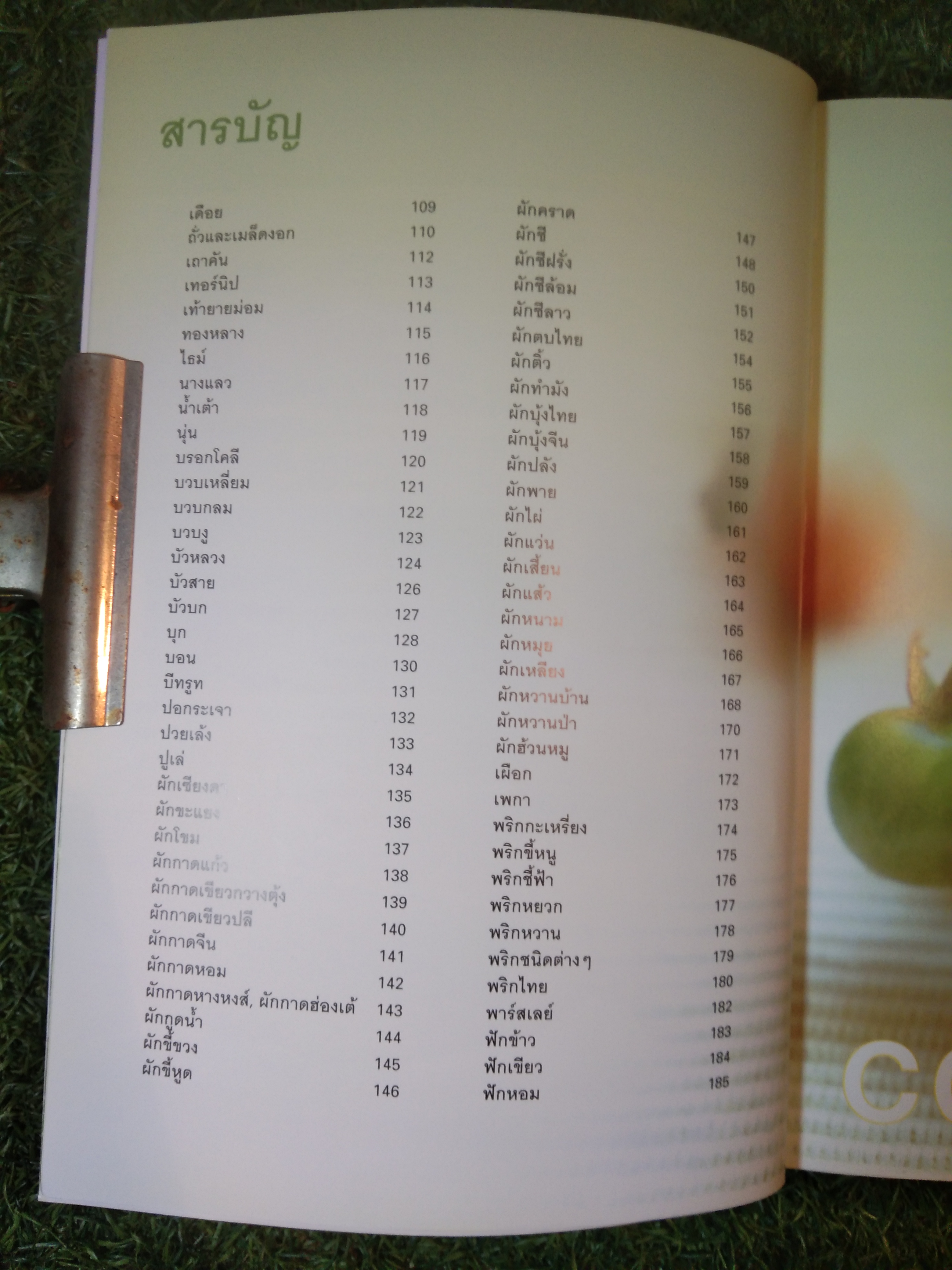 คุณค่าอาหารและการกิน ผัก๓๓๓ ชนิด / แสงแดด (สภาพไม่สมบูรณ์)