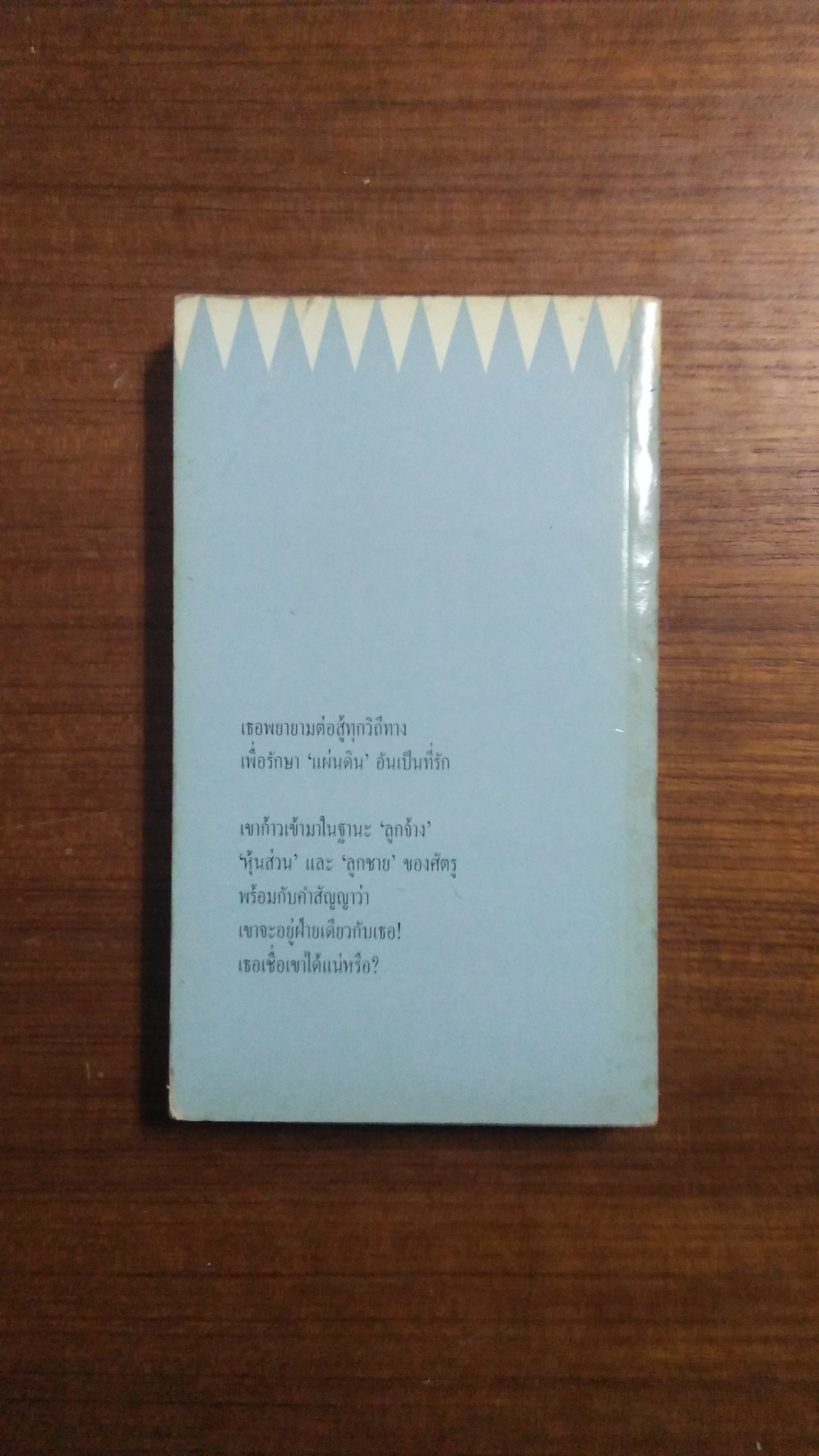 พิศสาสคู่แค้น / อิสรีน์ แปล