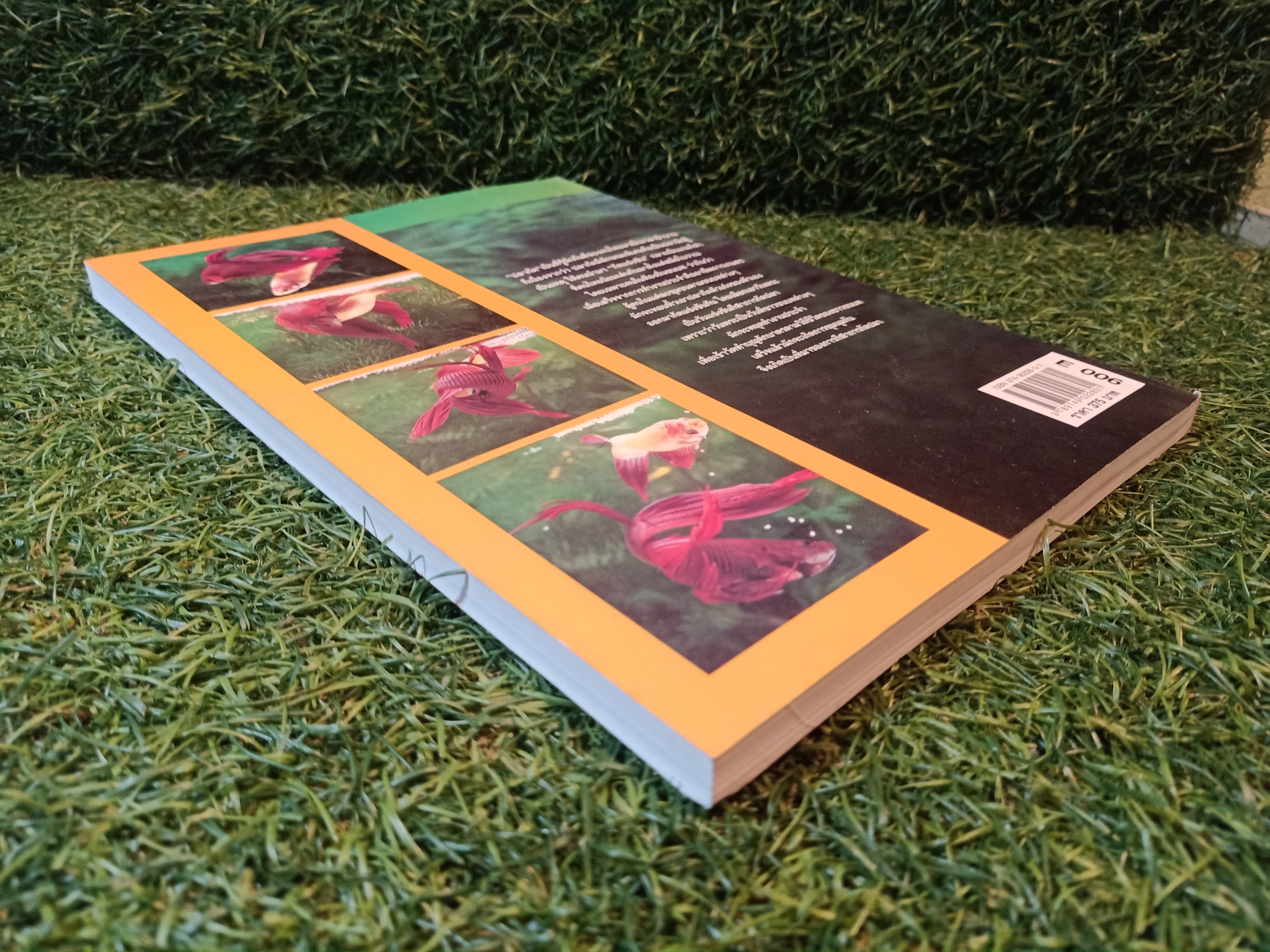 สายพันธุ์และการเพาะเลี้ยง ปลากัด / ธนากร ฤทธิ์ไธสง