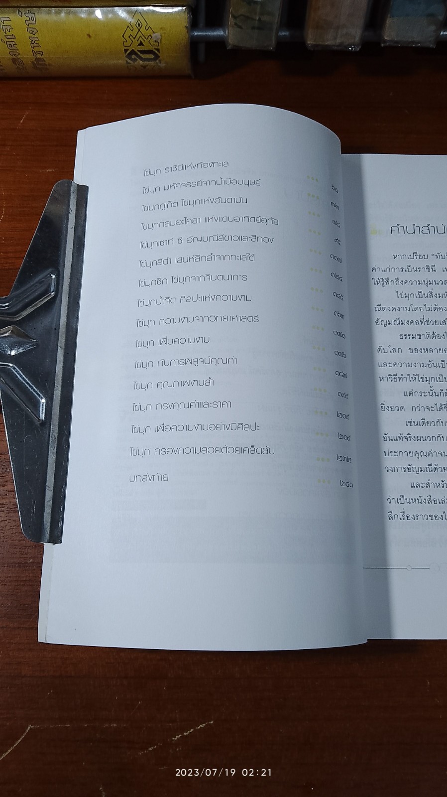 ไข่มุก ราชินีแห่งท้องทะเล / มณีขจิต