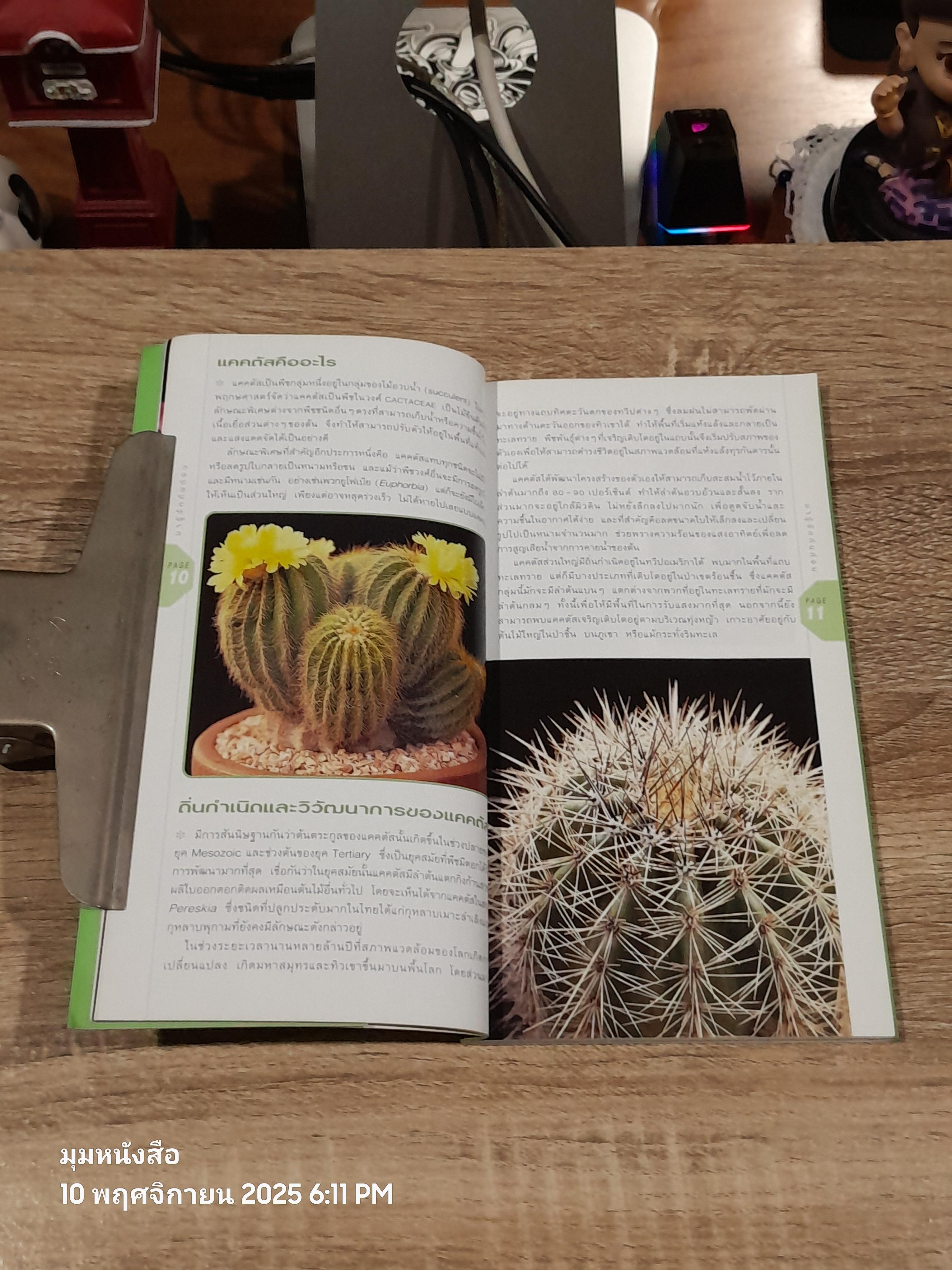 มือใหหม่หหัดปลูก แคคตัส / วชิรพงศ์ หหวลบุตตา