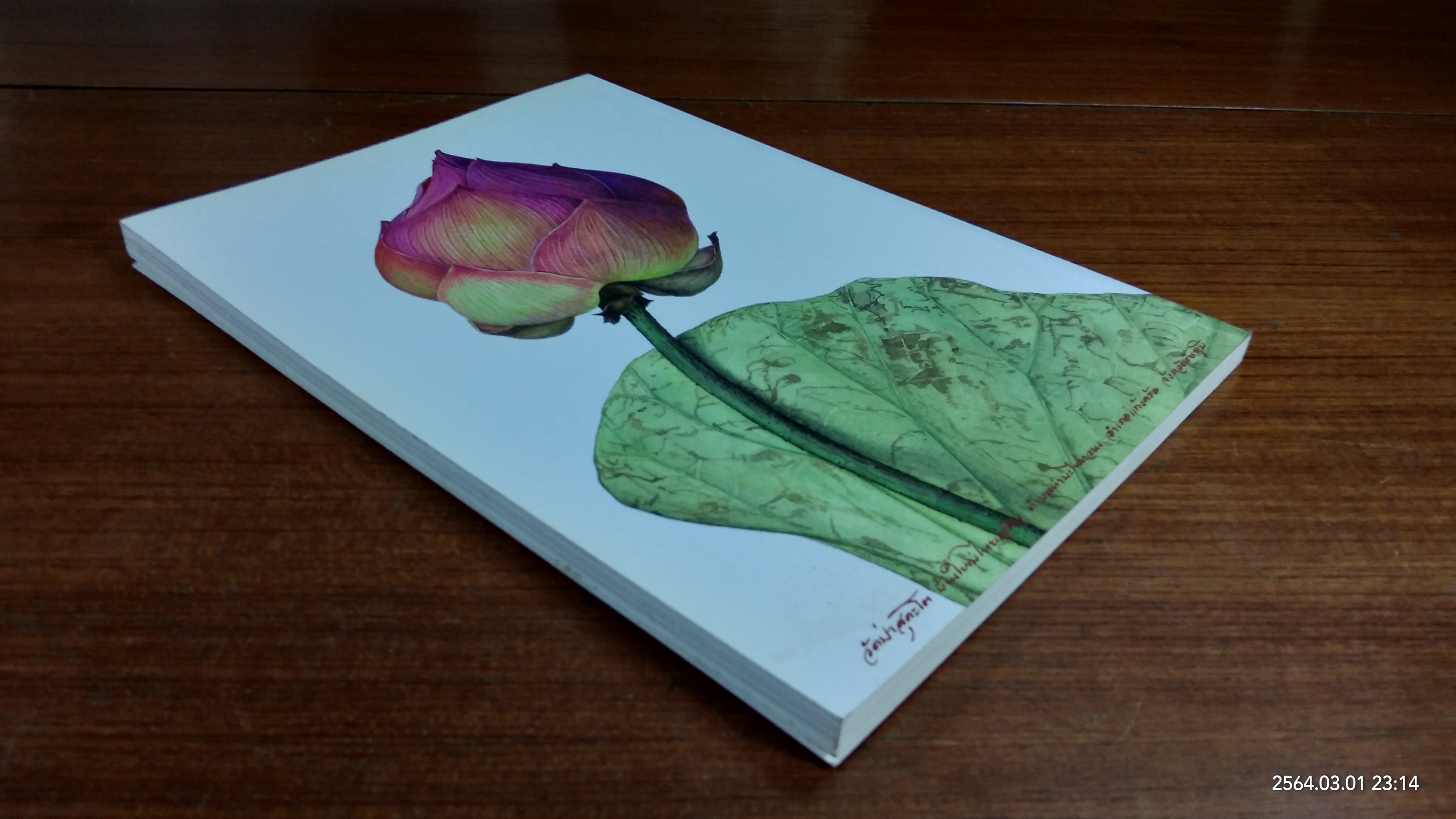 บทสวดมนต์และคำแปล วัดป่าสุคะโต