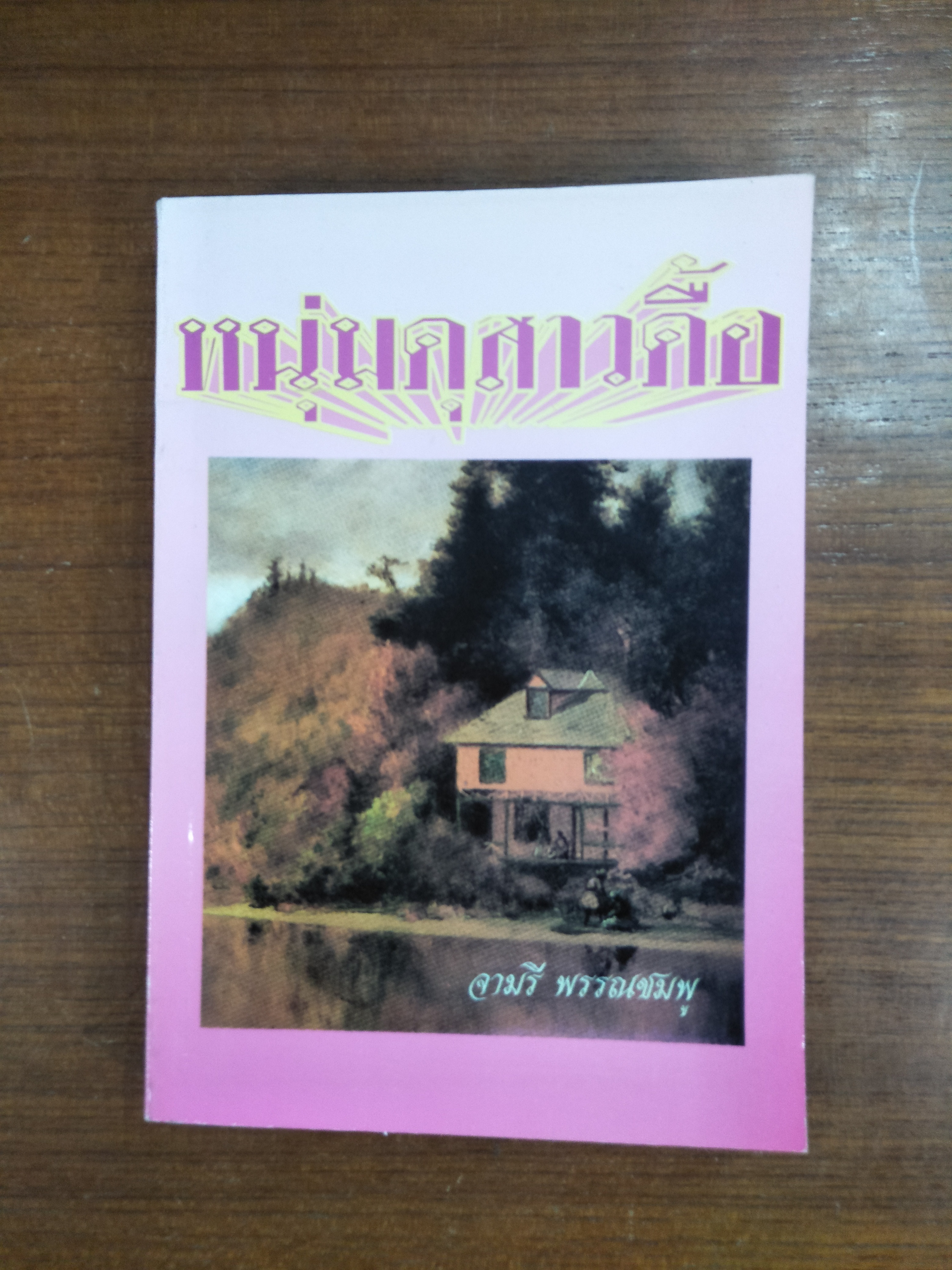 หนุ่มดุสาวดื้อ / จามรี พรรณชมพู