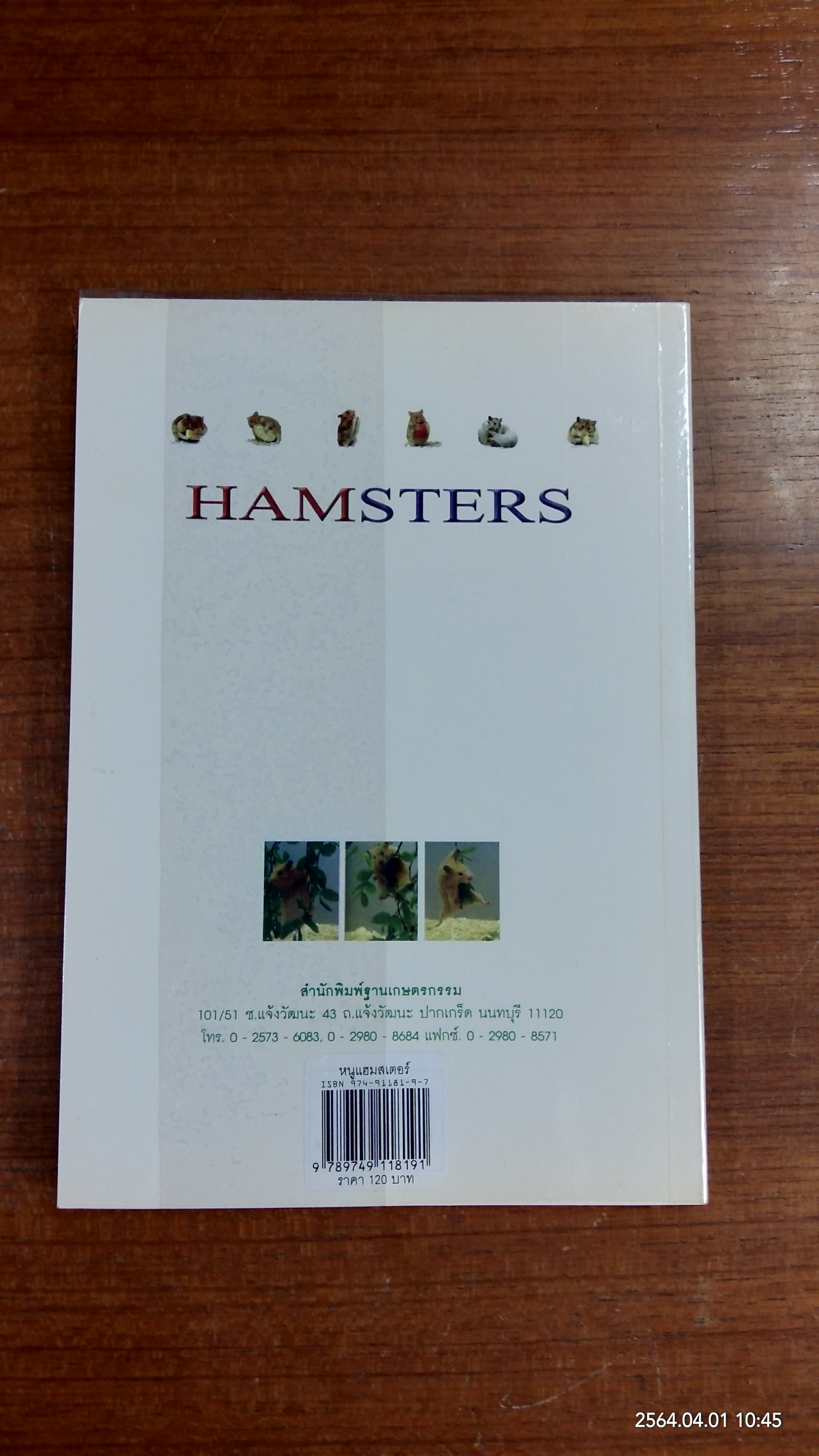 หนูแฮมสเตอร์ / กณิกนันต์ ลีฬฆวรรณ