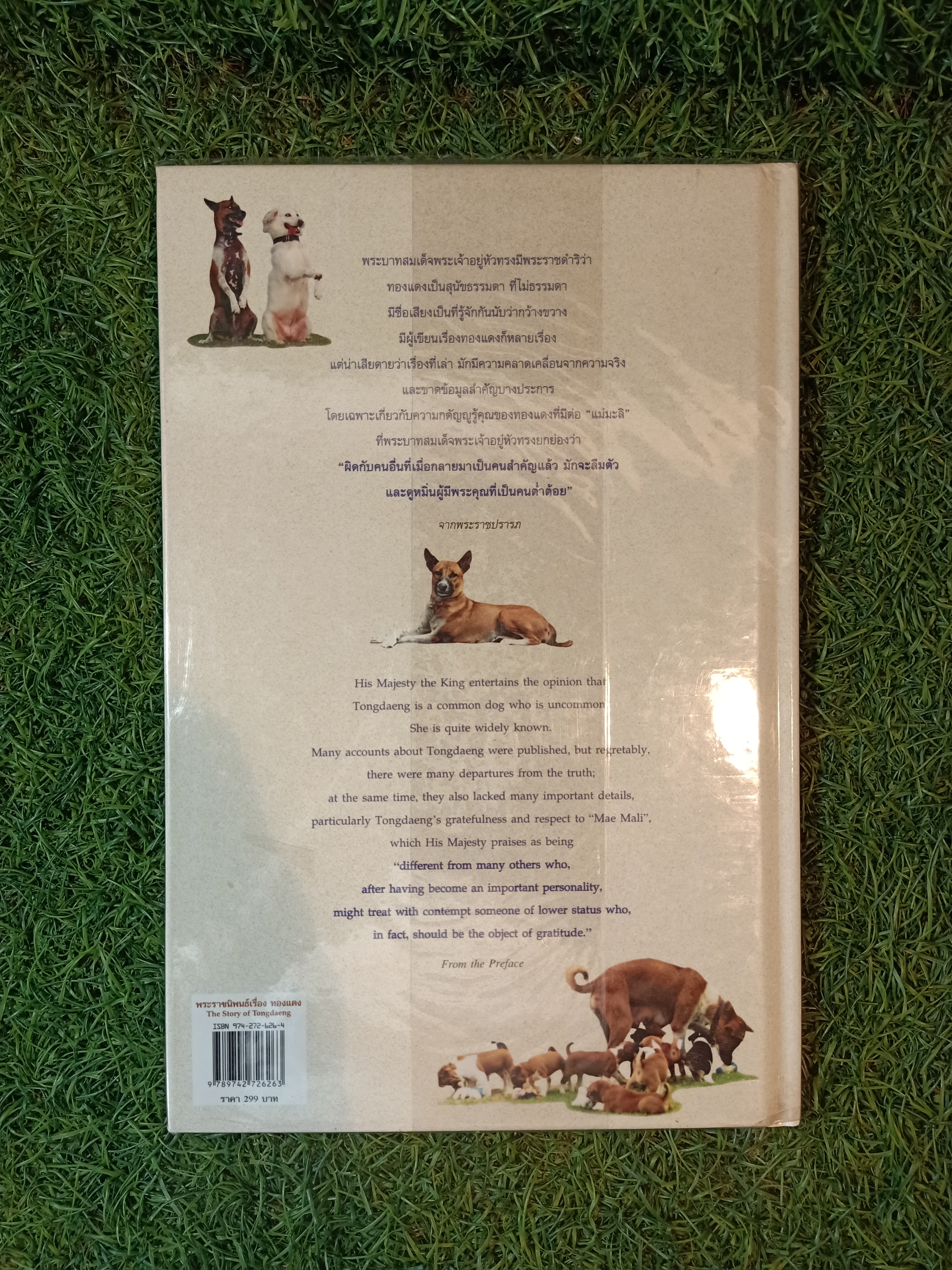 พระราชนิพนธ์ พระบาทสมเด็จพระเจ้าอยู่หัวภูมิพลอดุลยเดช เรื่องทองแดง