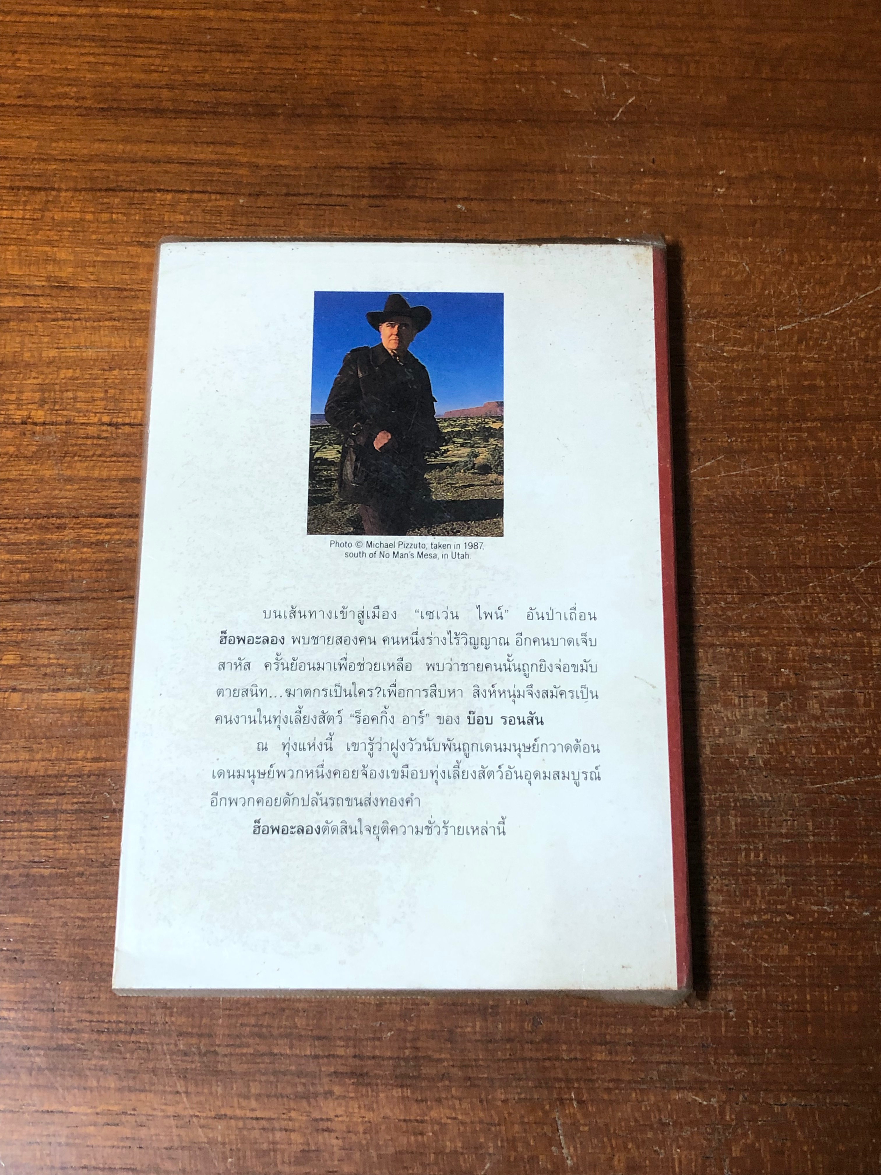 ตะลุยแดนพยัคฆฆ์ / หลุยส์ ลามูร์