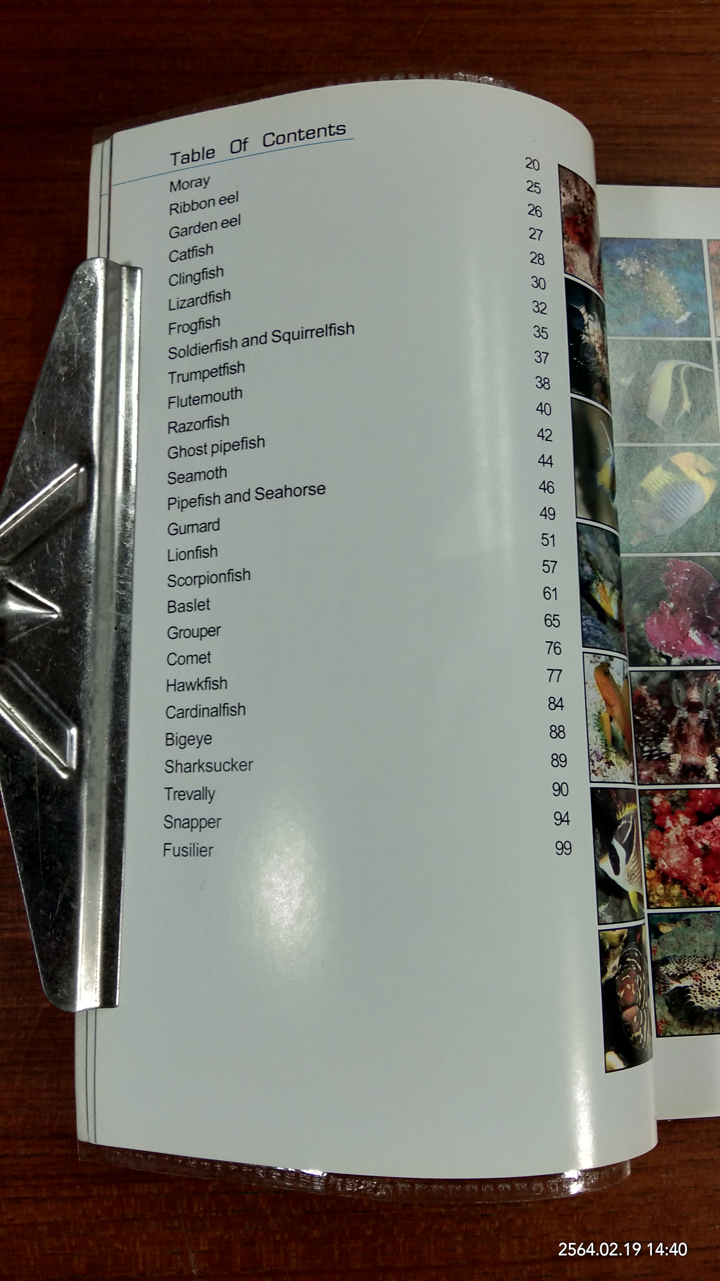 Coral Fish of Thailand / Thon Thamrongnawasawat,Anuwat Saisaeng