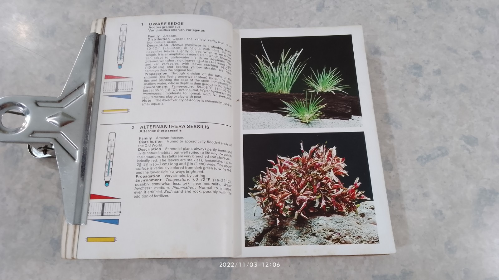 Simon And Schuster's Complete Guide To Freshwater And Marine Aquarium Fishes Vintage Paperback Book