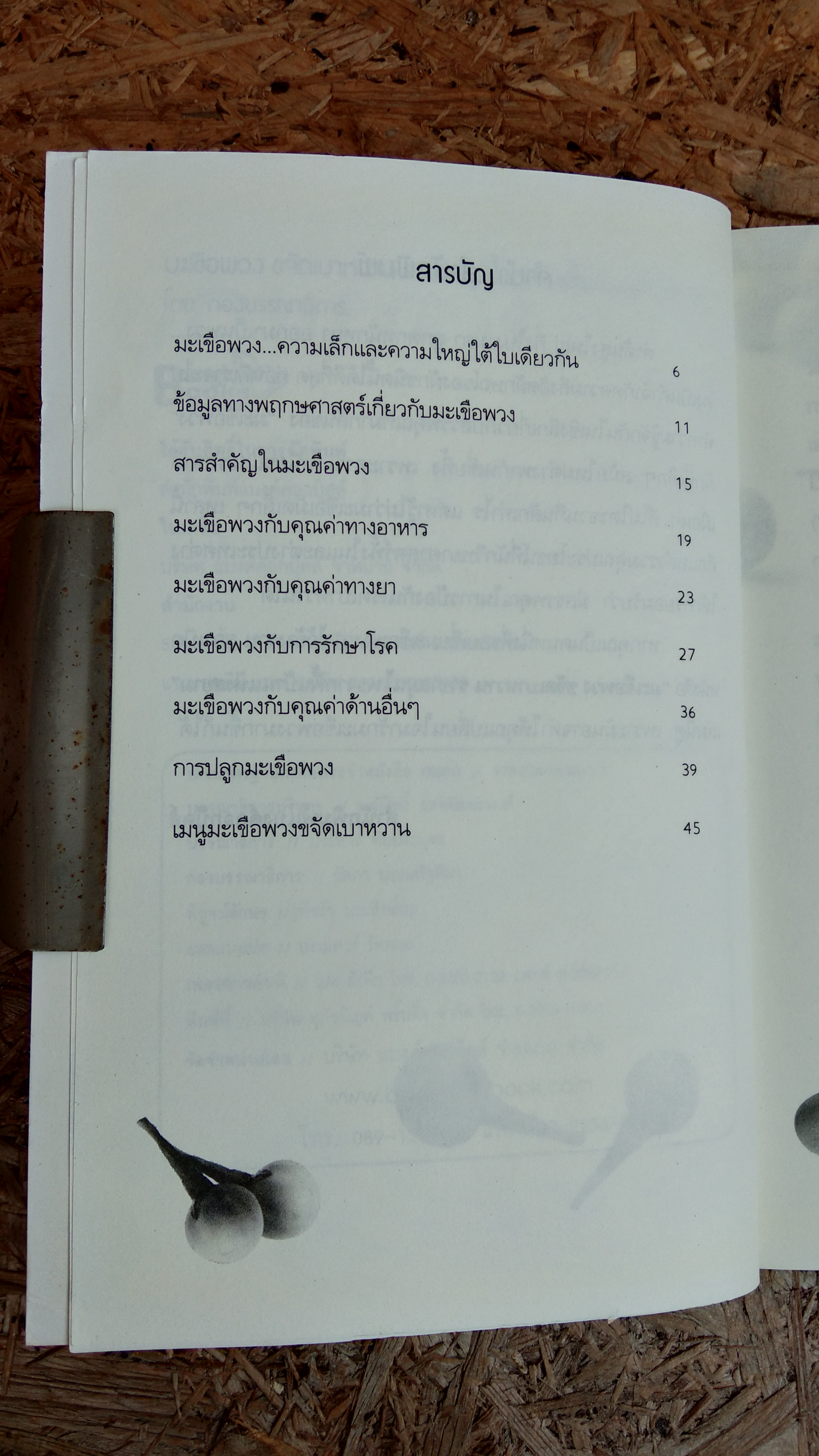 มะเขือพวง ขจัดเบาหวาน ราชาสมุนไพร จากพื้นบ้านแห่งสยาม