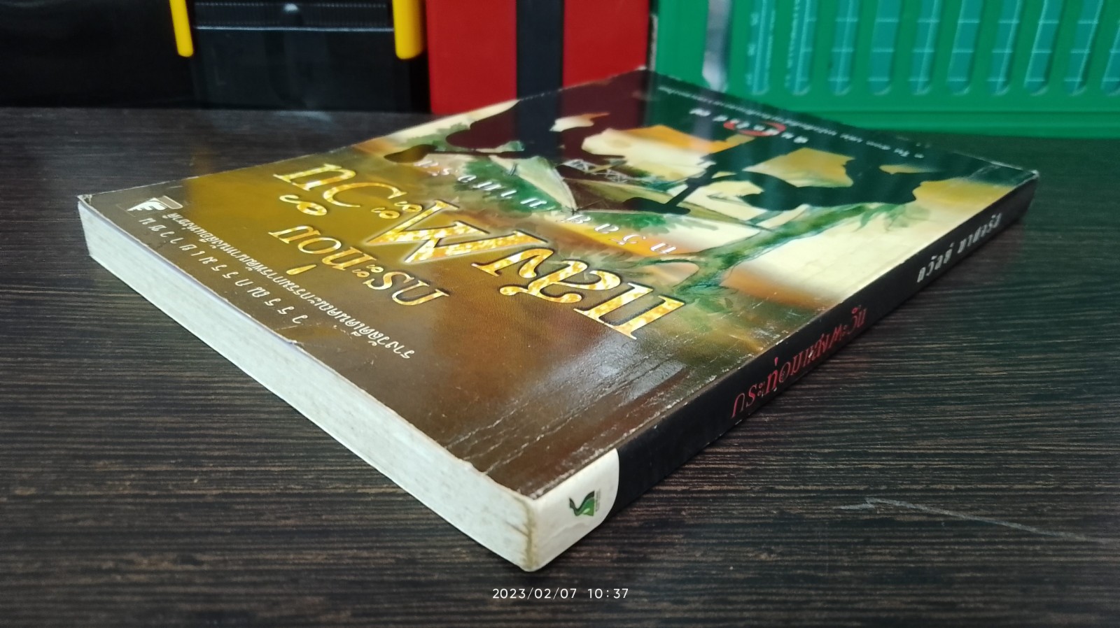 กระท่อมแสงตะวัน / ถวัลย์ มาศจรัส