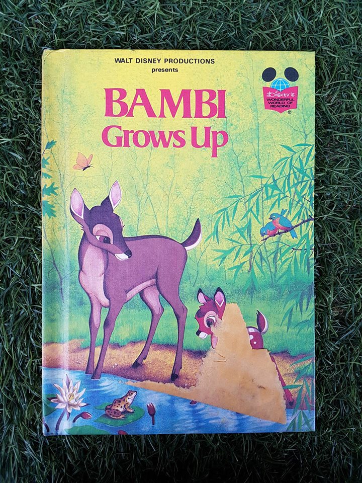 WALT DISNEY PRODUCTIONS : BAMBI Grows Up