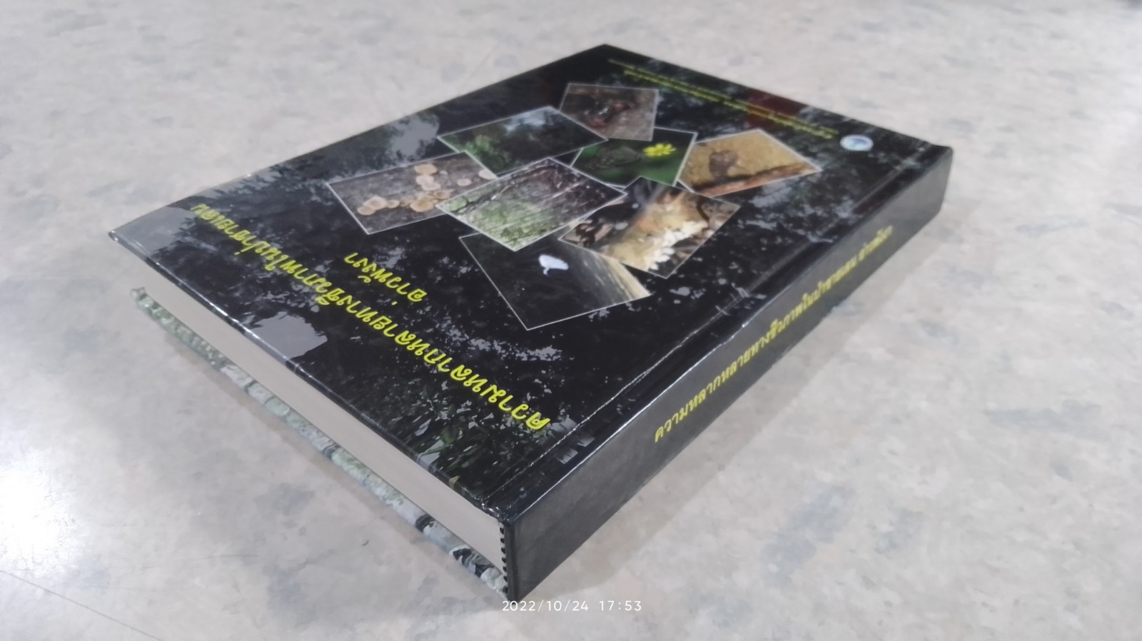 ความหลากหลายทางชีวภาพในป่าชายเลน อ่าวพังงา