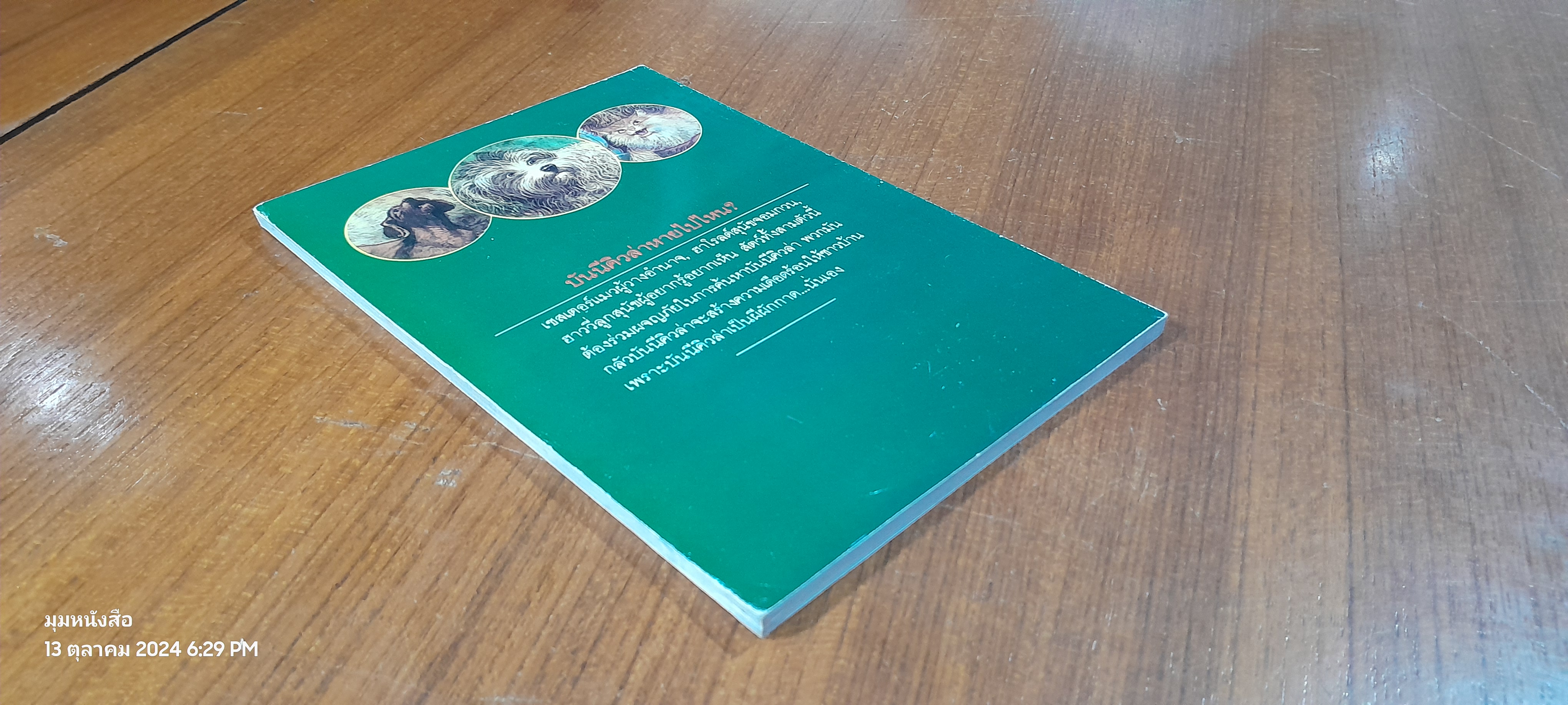 ตามหาผีผักกาด / JAMES HOWE