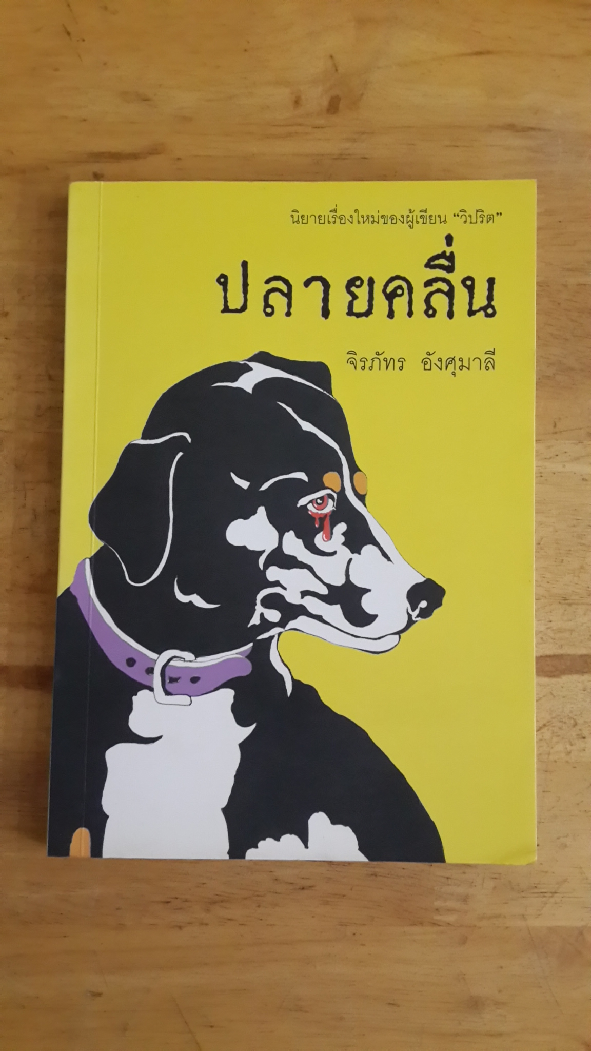 ปลายคลื่น / จิรภัทร อังศุมาลี