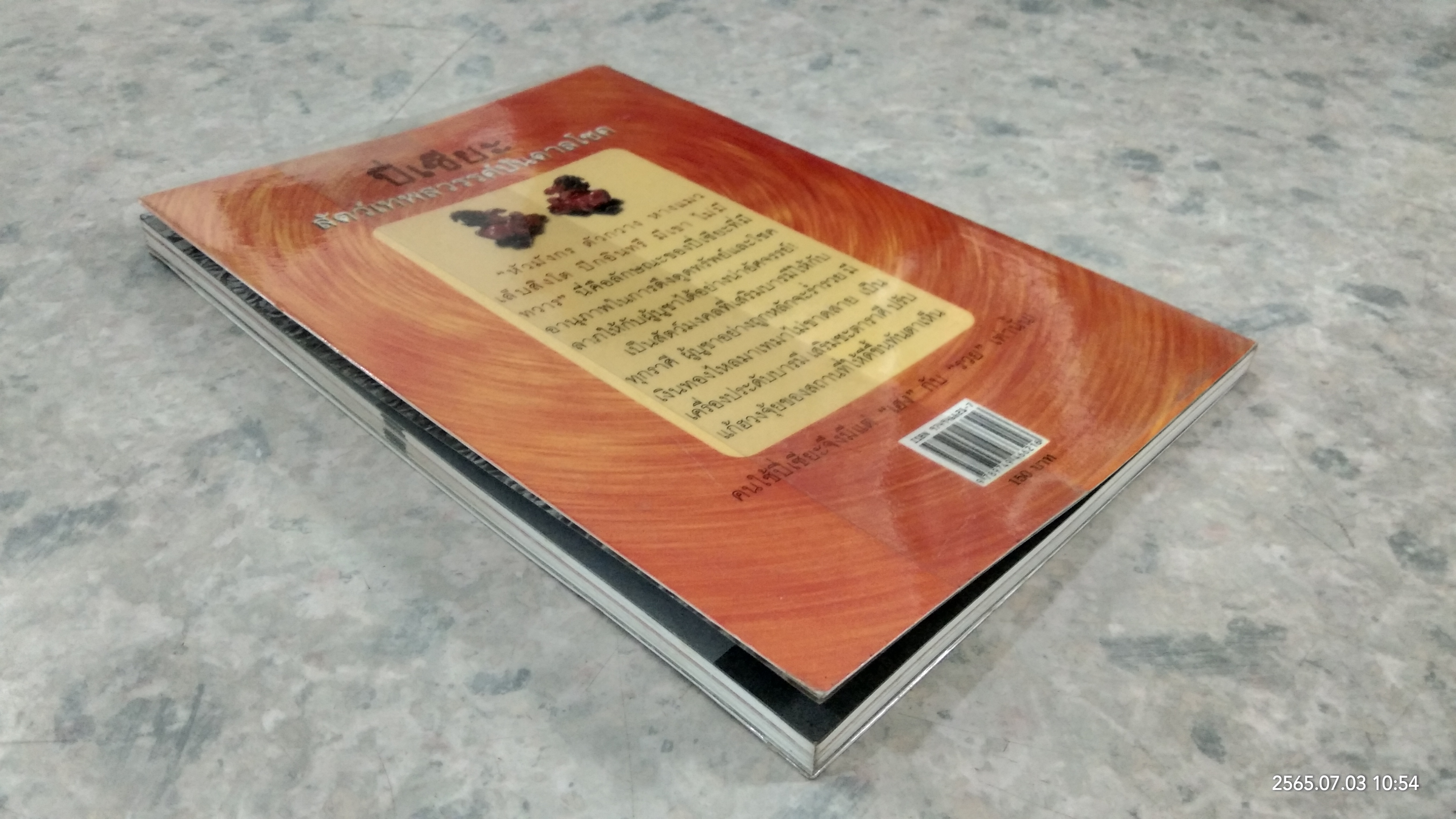 ปี่เซี่ยะ สัตว์เทพสวรรค์บันดาลโชค / ทศพล จังพานิชย์กุล