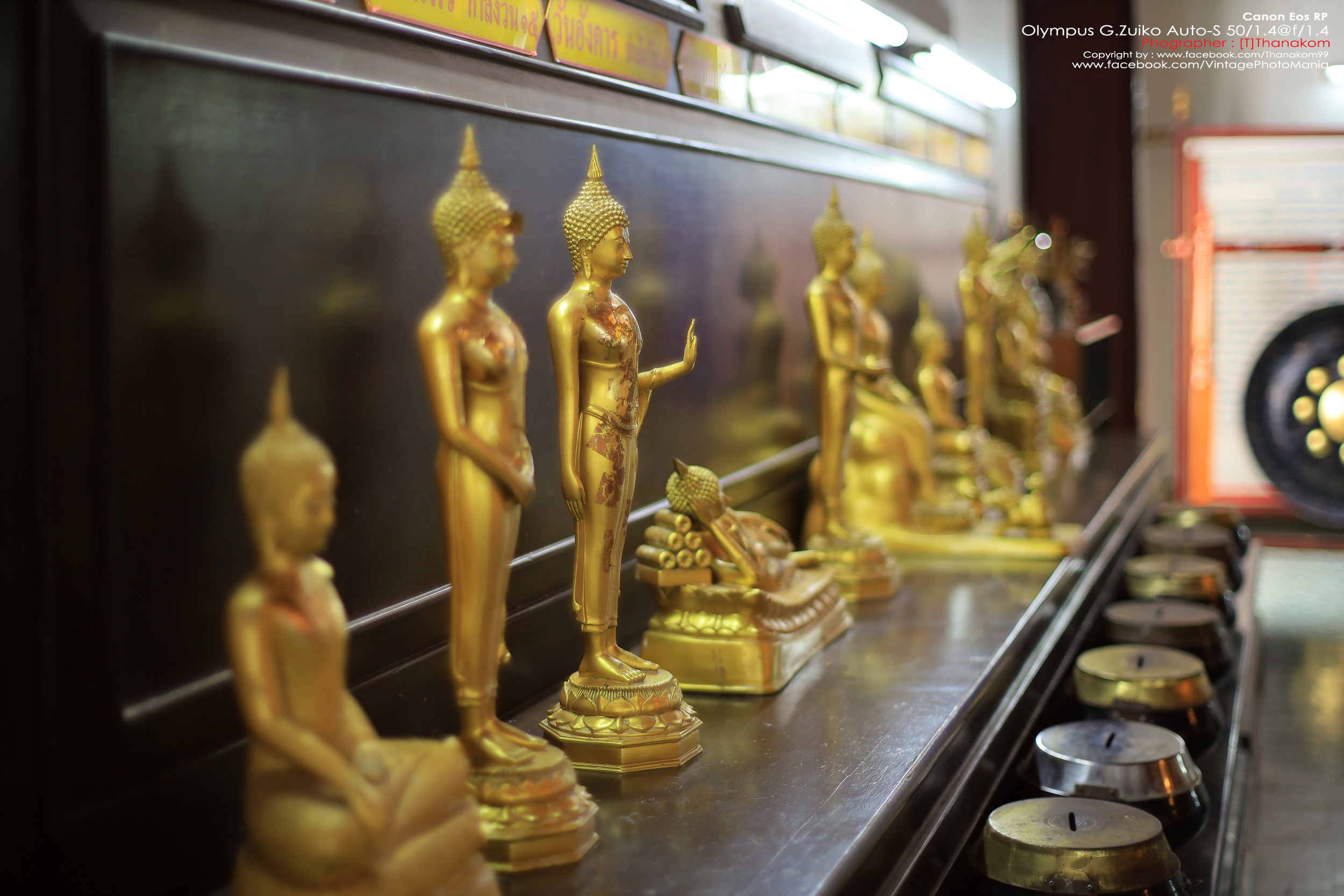 Olympus G.Zuiko Auto-S 50/1.4 *OM Mount เลนส์ไวแสงละลายฉากหลังสวย