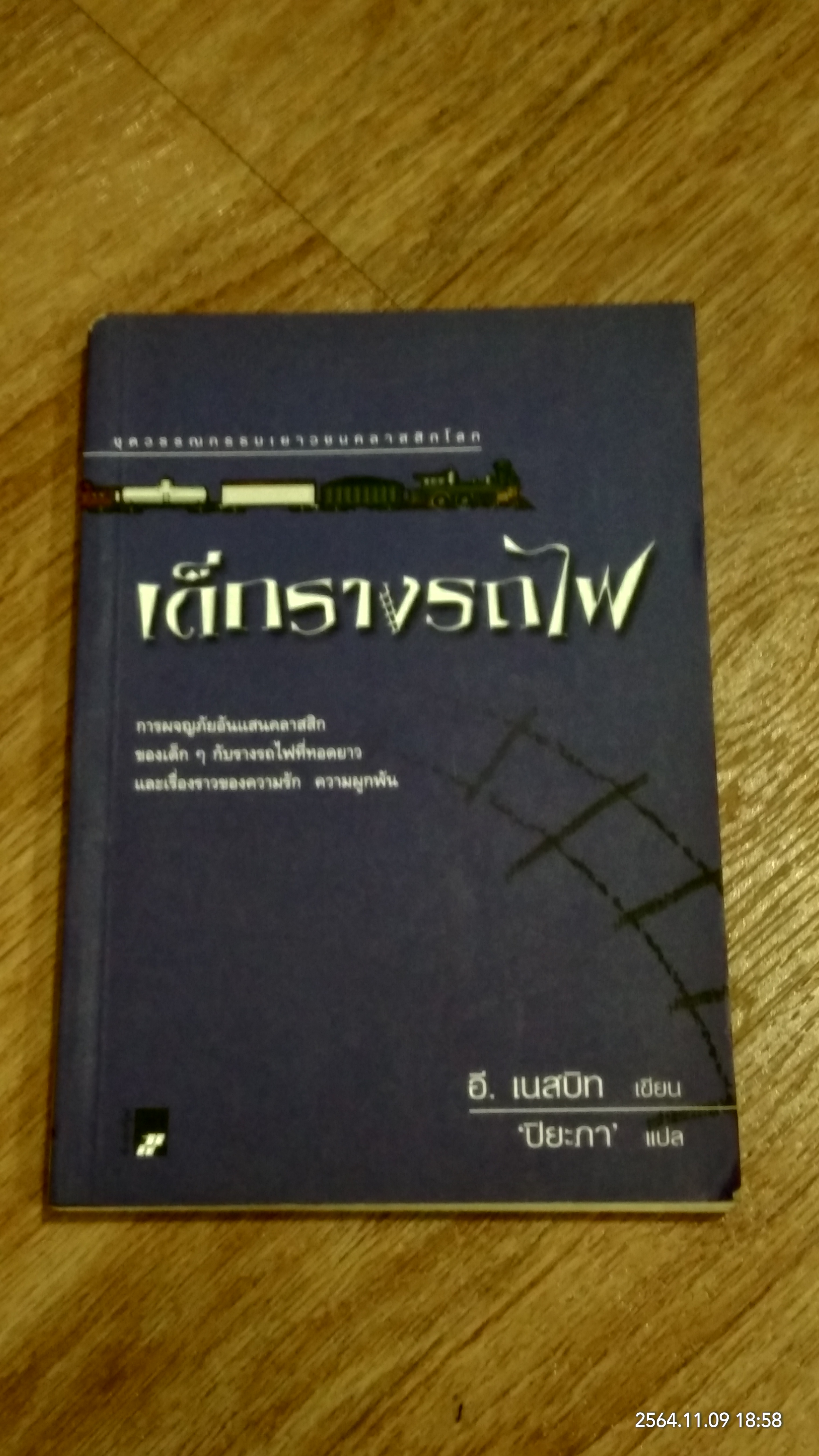 เด็กรางรถไฟ / อี. เนสบิท