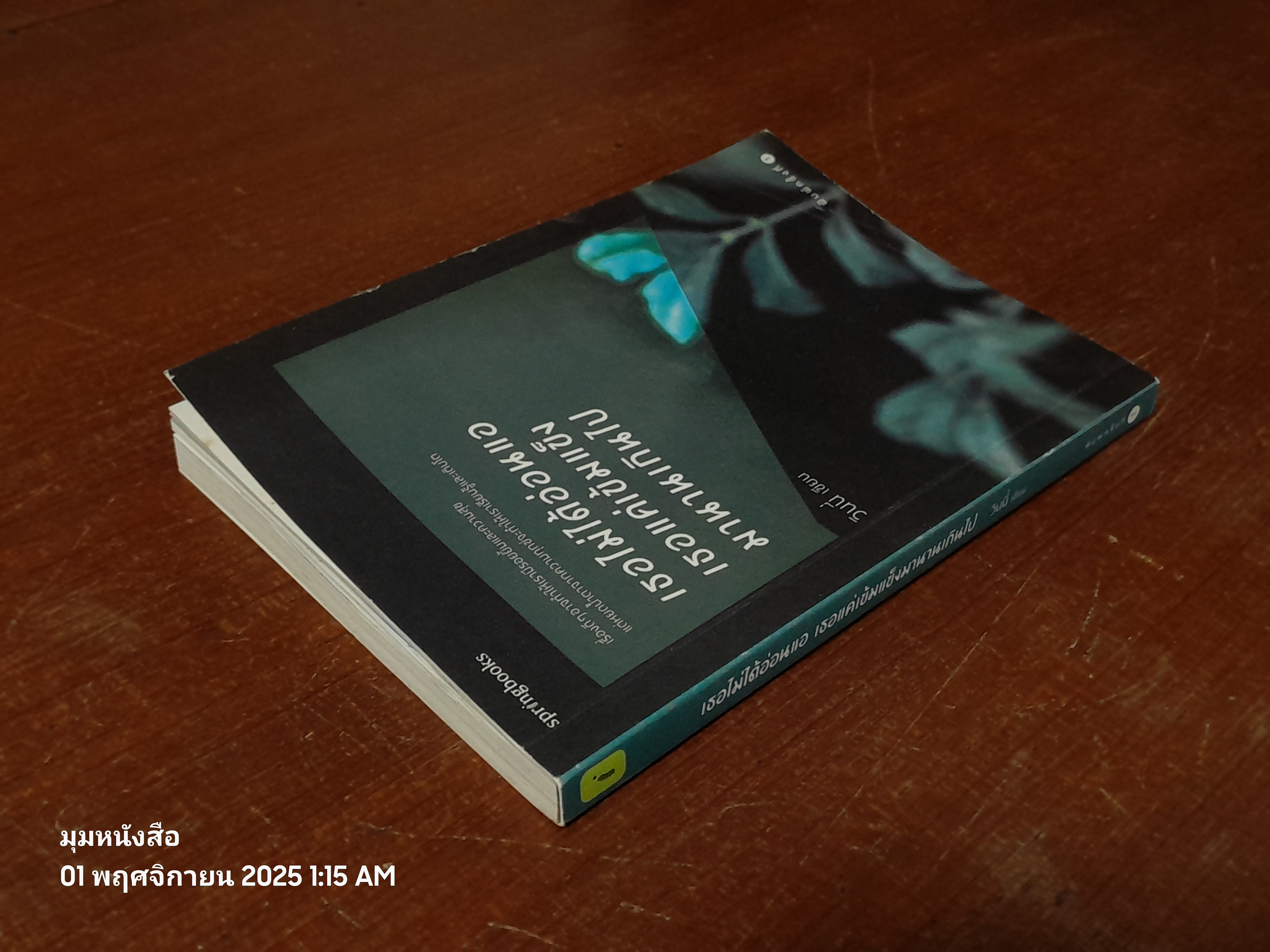 เธอไม่ได้อ่อนแอ เธอแค่เข็มแข็งมานานเกินไป / วินนี่