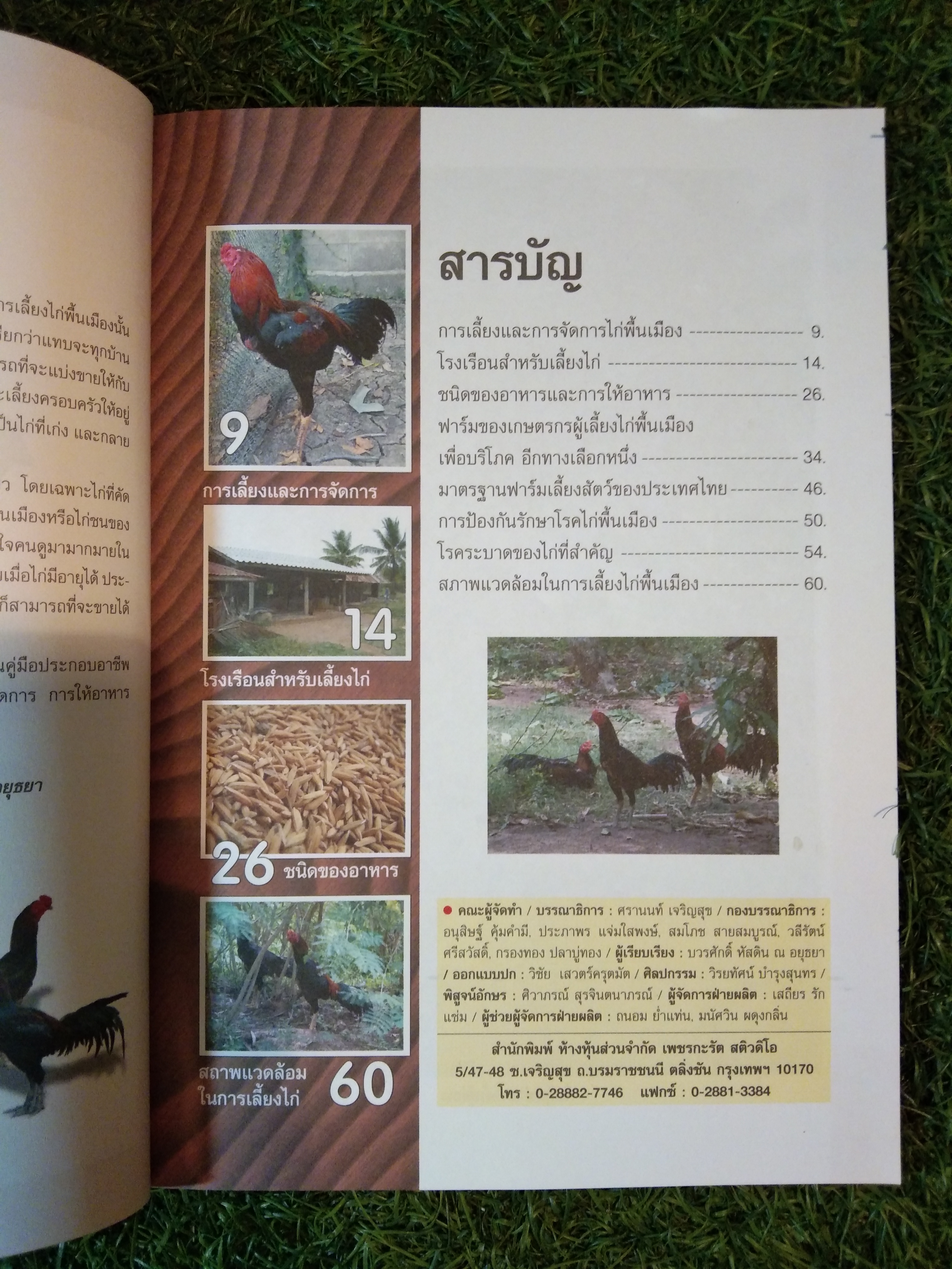 ไก่พื้นเมือง สัตว์เศรษฐกิจพื้นบ้านยอดนิยม / บวรศักดิ์ หัสดิน