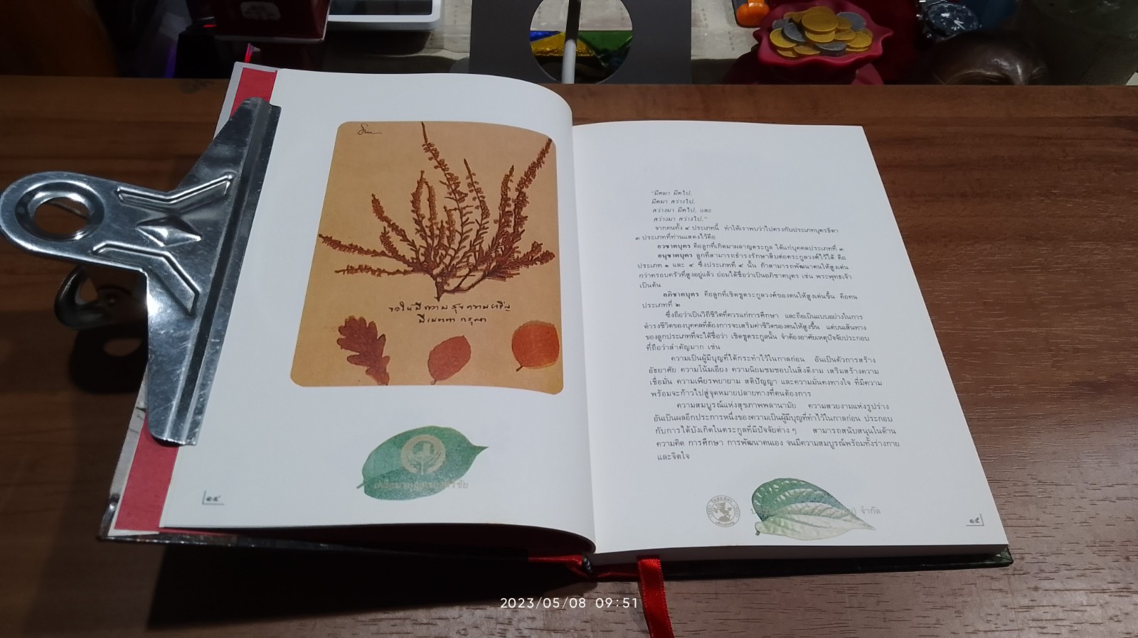 ๙๐ พรรษา แม่ฟ้าหลวง