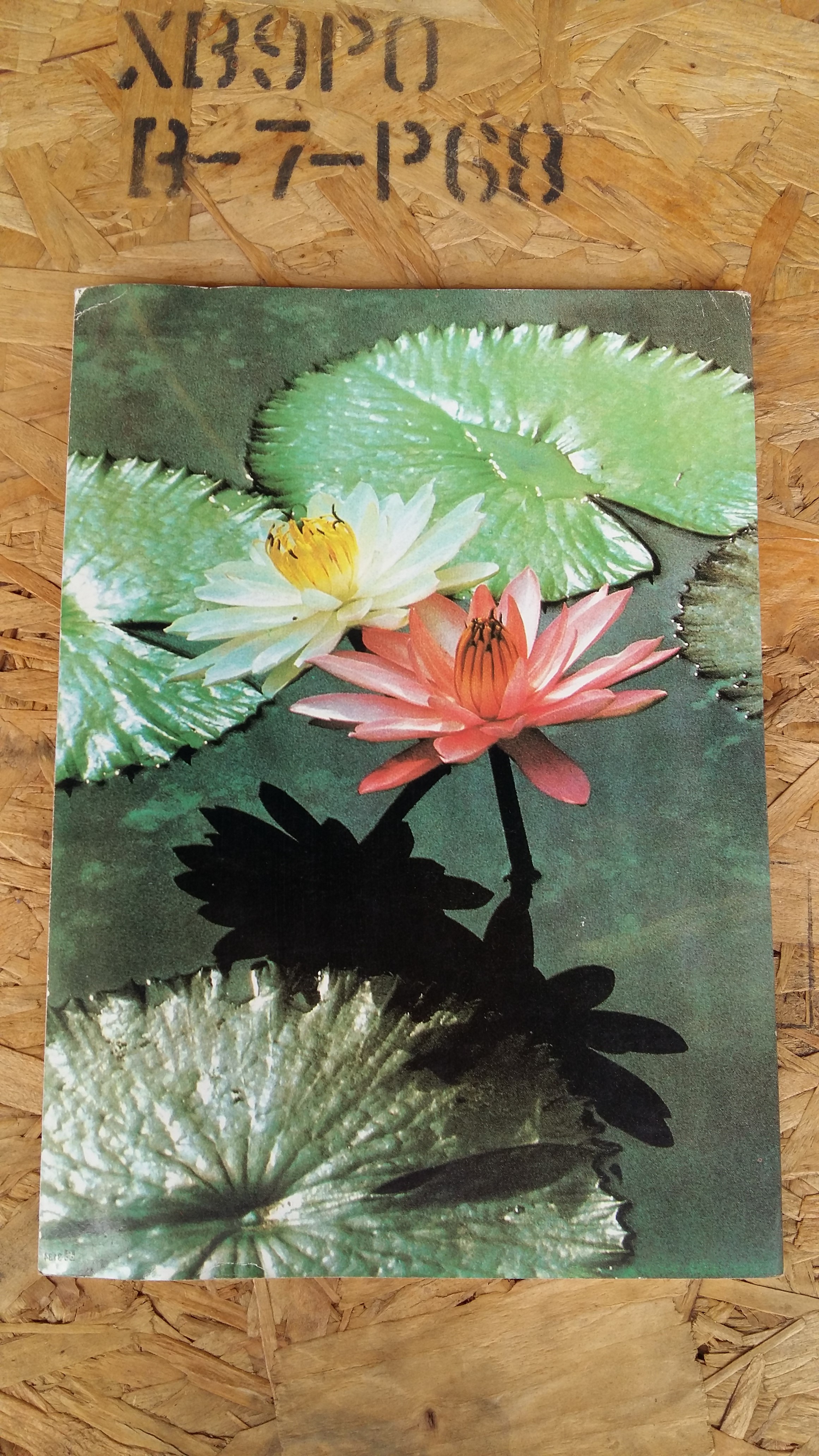 บัวบาน / บุษกร สวัสดิ์-ชูโต