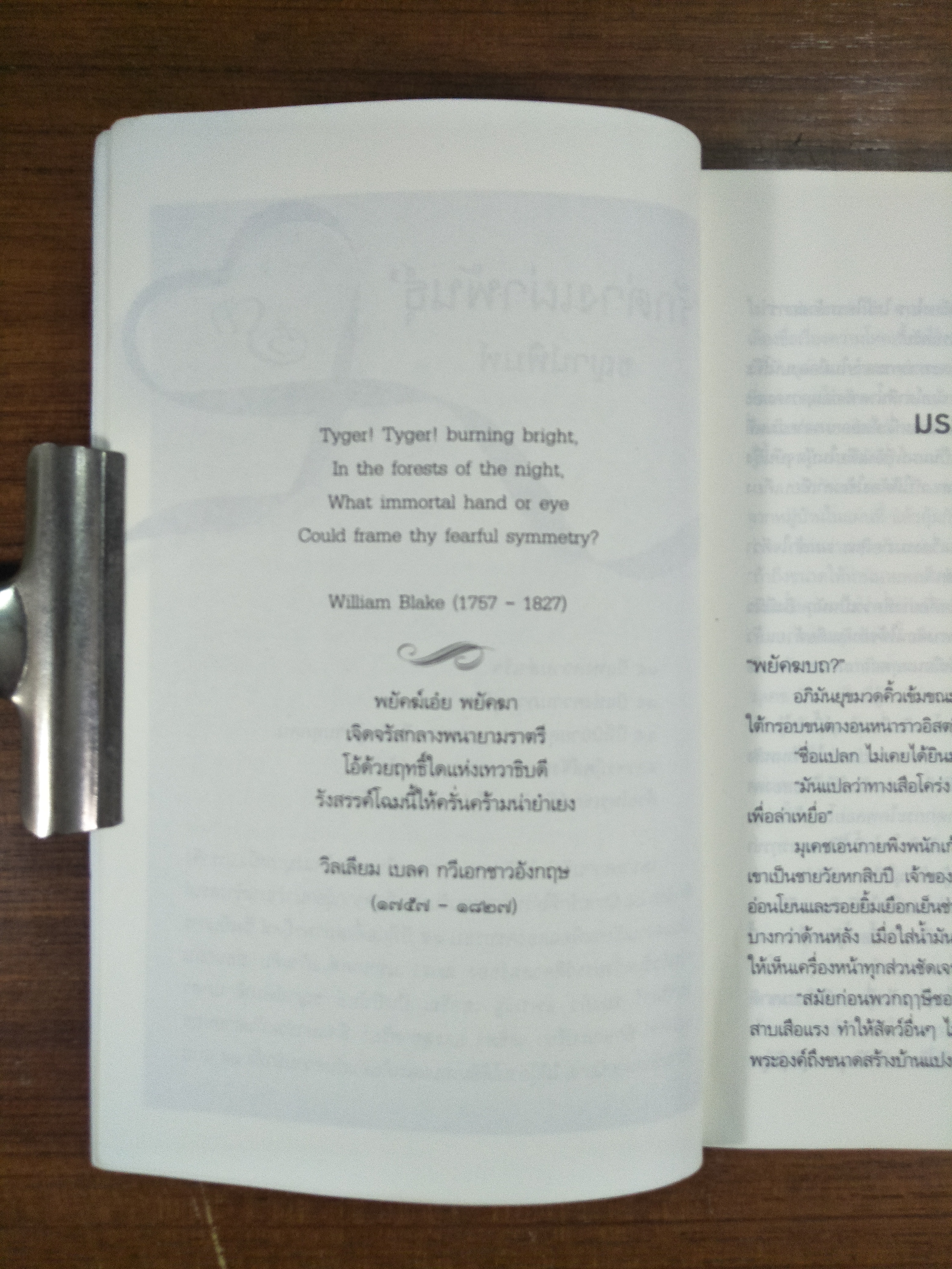 พยัคฆบถ / ชญาน์พิมพ์