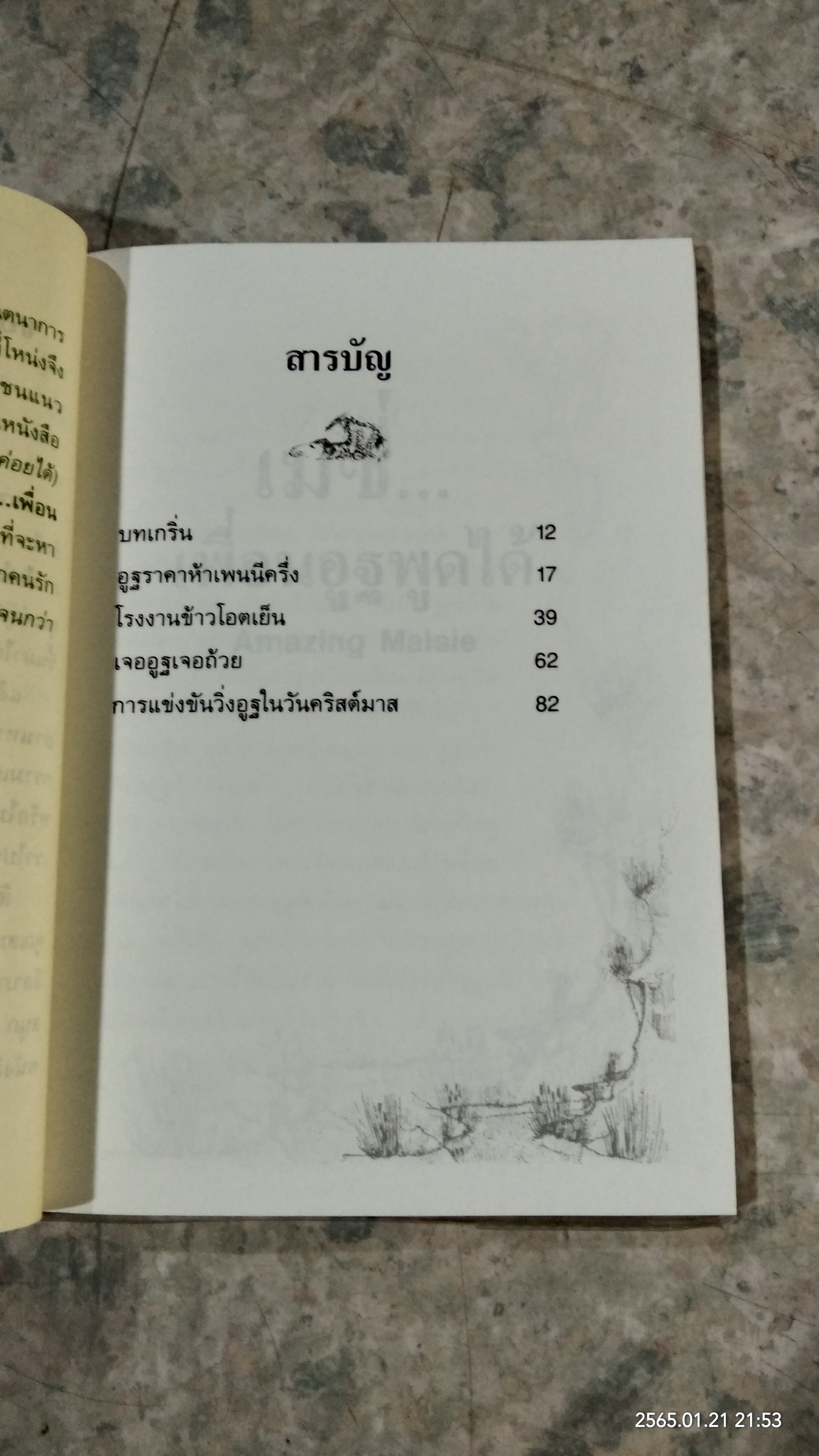 เมซี่...เพื่อนอูฐพูดได้ / แอนดรอ ลิงก์ลาเตอร์