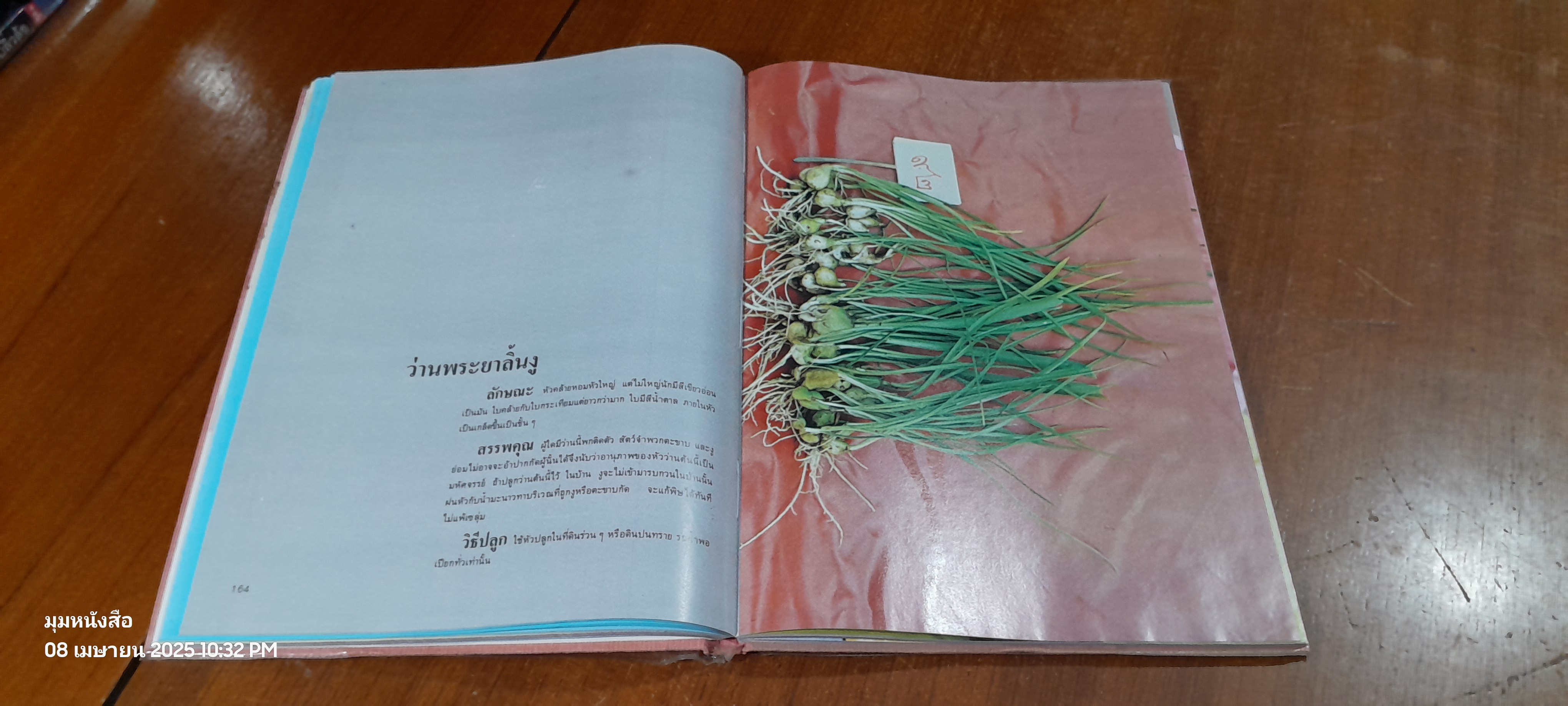 ๑๐๘ ว่านมหัศจรรย์ เล่ม ๒ / ส.เปลี่ยนศรี (สภาพไม่สมบูรณ์)