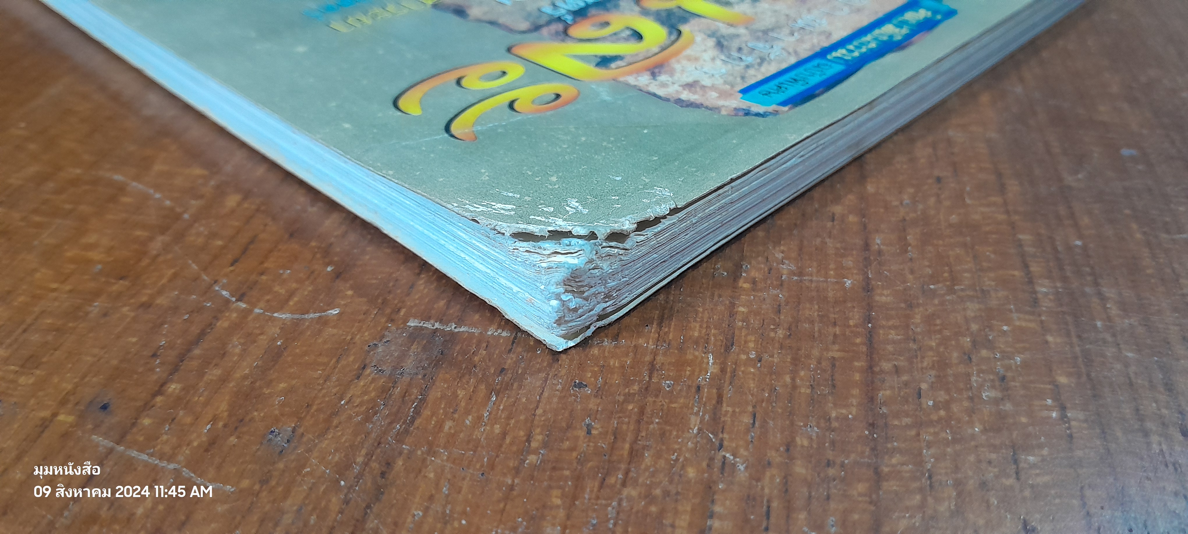 อาณาจักร เจนละ ประวัติศาสตร์อีสานโบราณ (สภาพไม่สมบูรณ์โดนแมวกัด) / รองศาสตราจารย์ ดร.ธิดา สาระยา