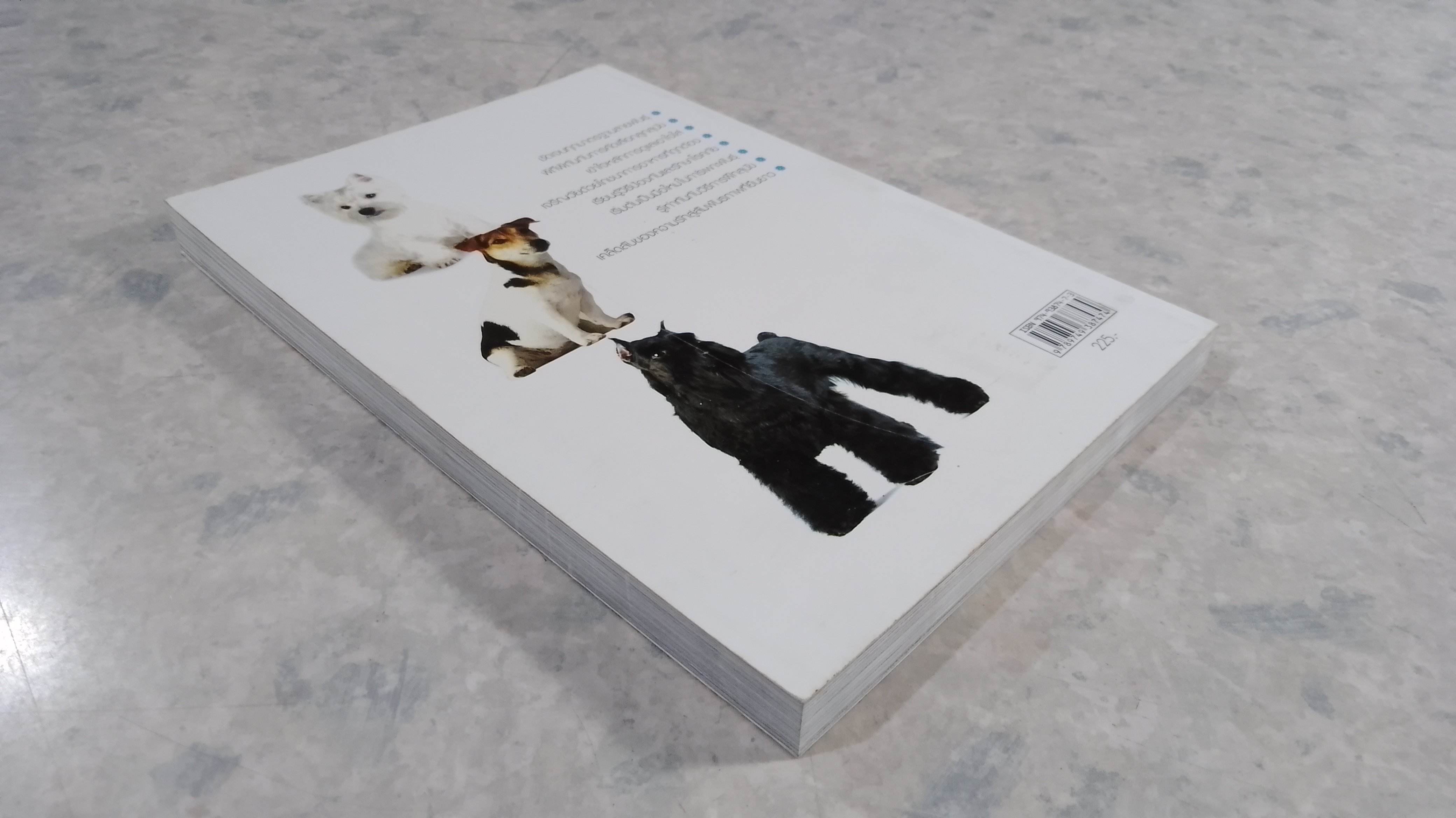 DOG IN THAILAND VOLUME 2 / ทวีศักดิ์