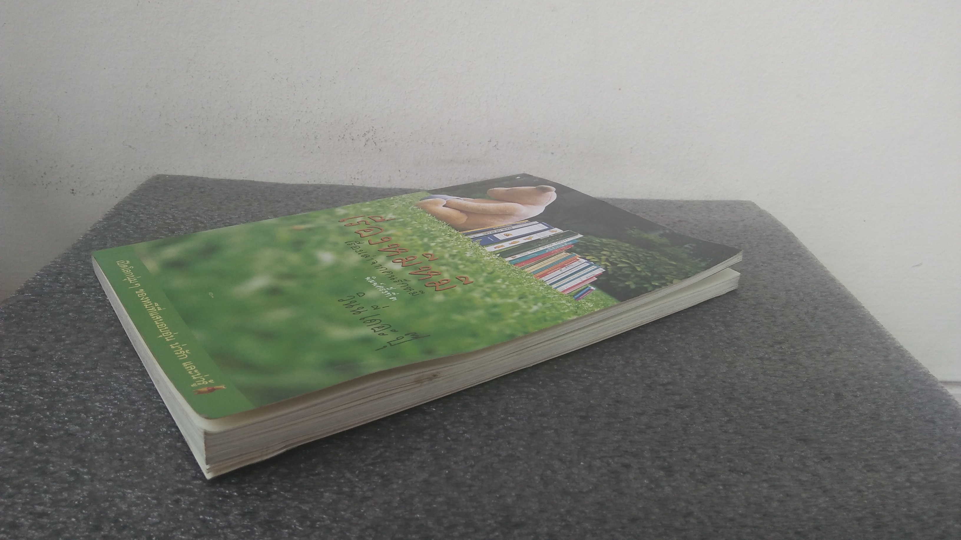 เรื่องหมีหมี เรื่องเล่าจากคนรักหมี / วินนี่ เดอะ ปุ๊