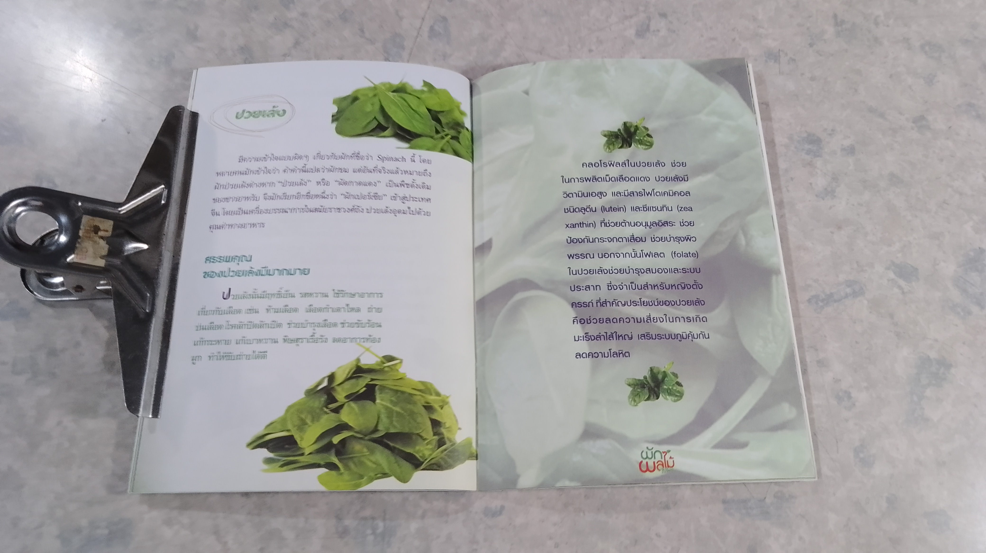 ผักผลไม้ สีเขียว บำรุงสายตาและต่อต้านอนุมูลอิสระ