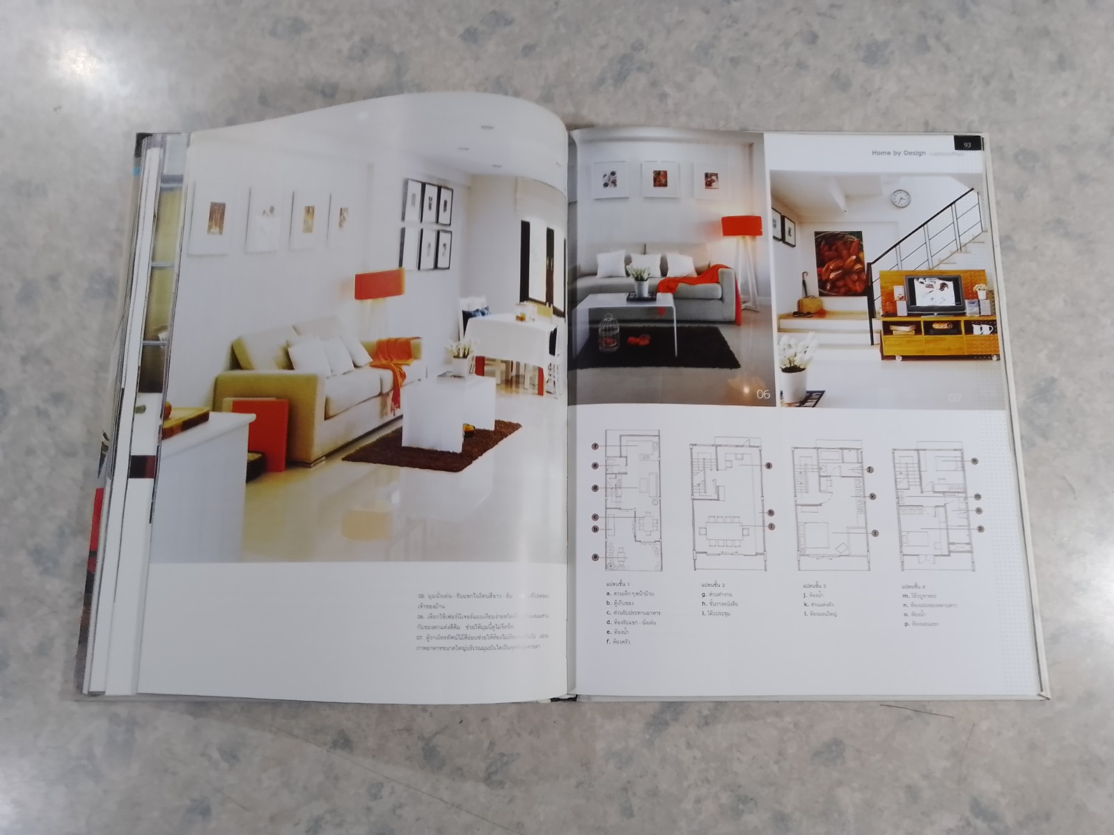 บ้านมีสไตล์ ของดีไซเนอร์ / บ้านและสวน