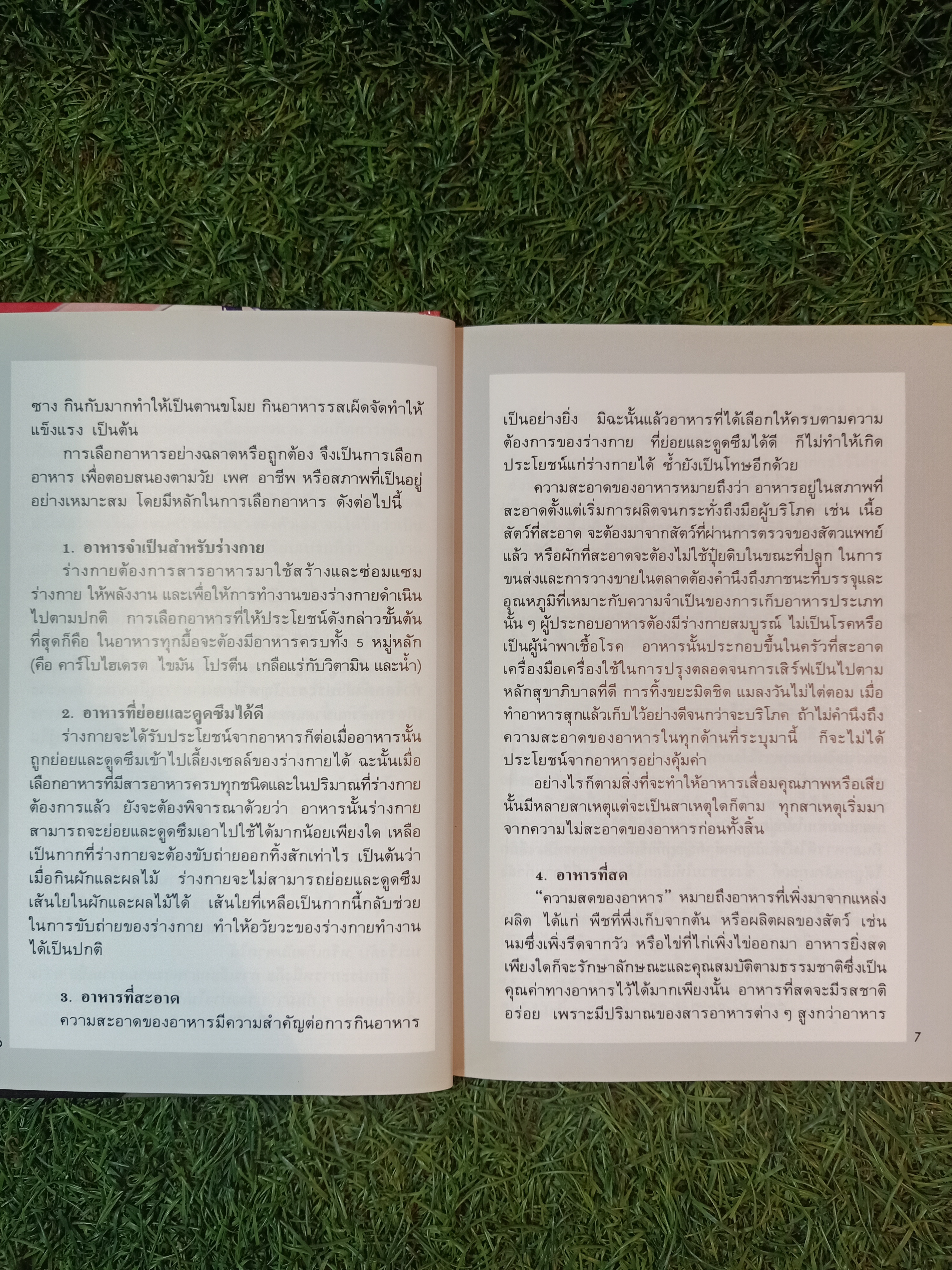 ชุดอาหารจีน อาหารจีนอย่างง่าย / แสงแดด