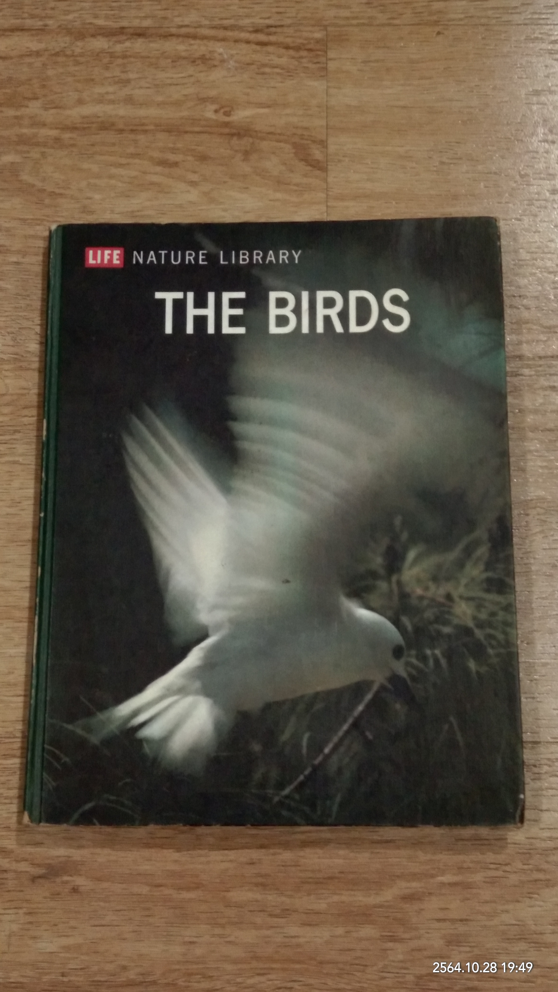 LIFE NATURE LIBRARY : THE BIRDS