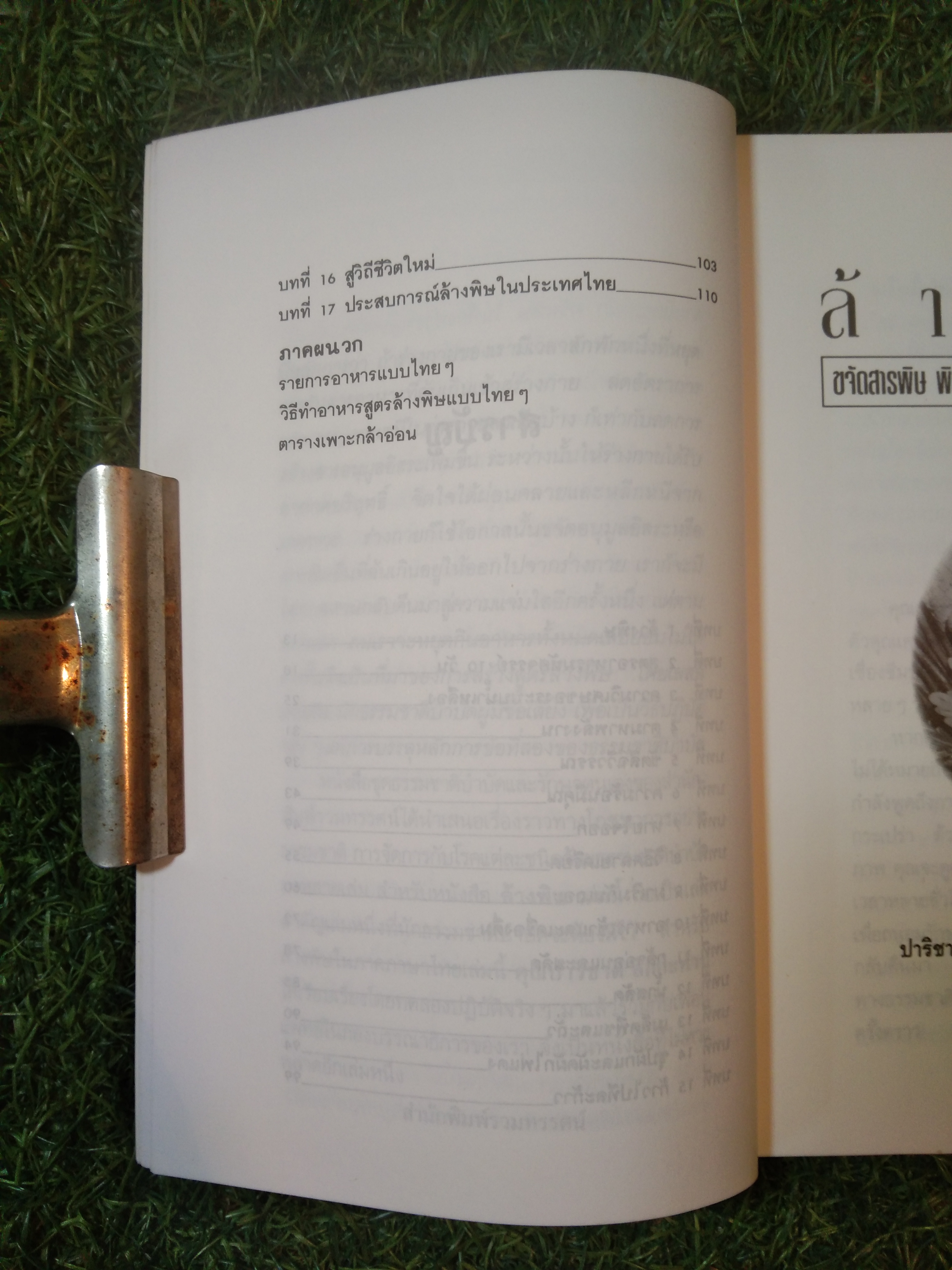 ล้างพิษ / ปาริชาติ สักกะทำนุ