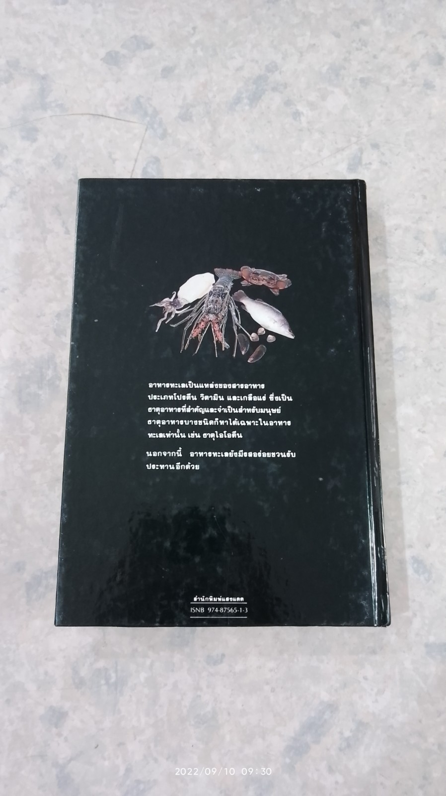 อาหารทะเล / แสงแดด