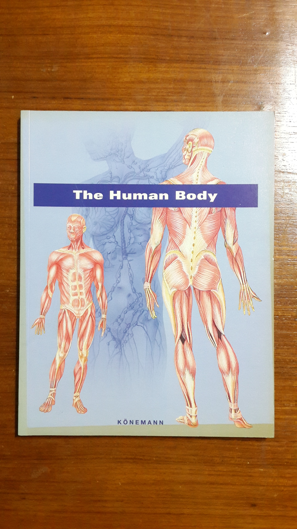 The Human Body / KONEMANN