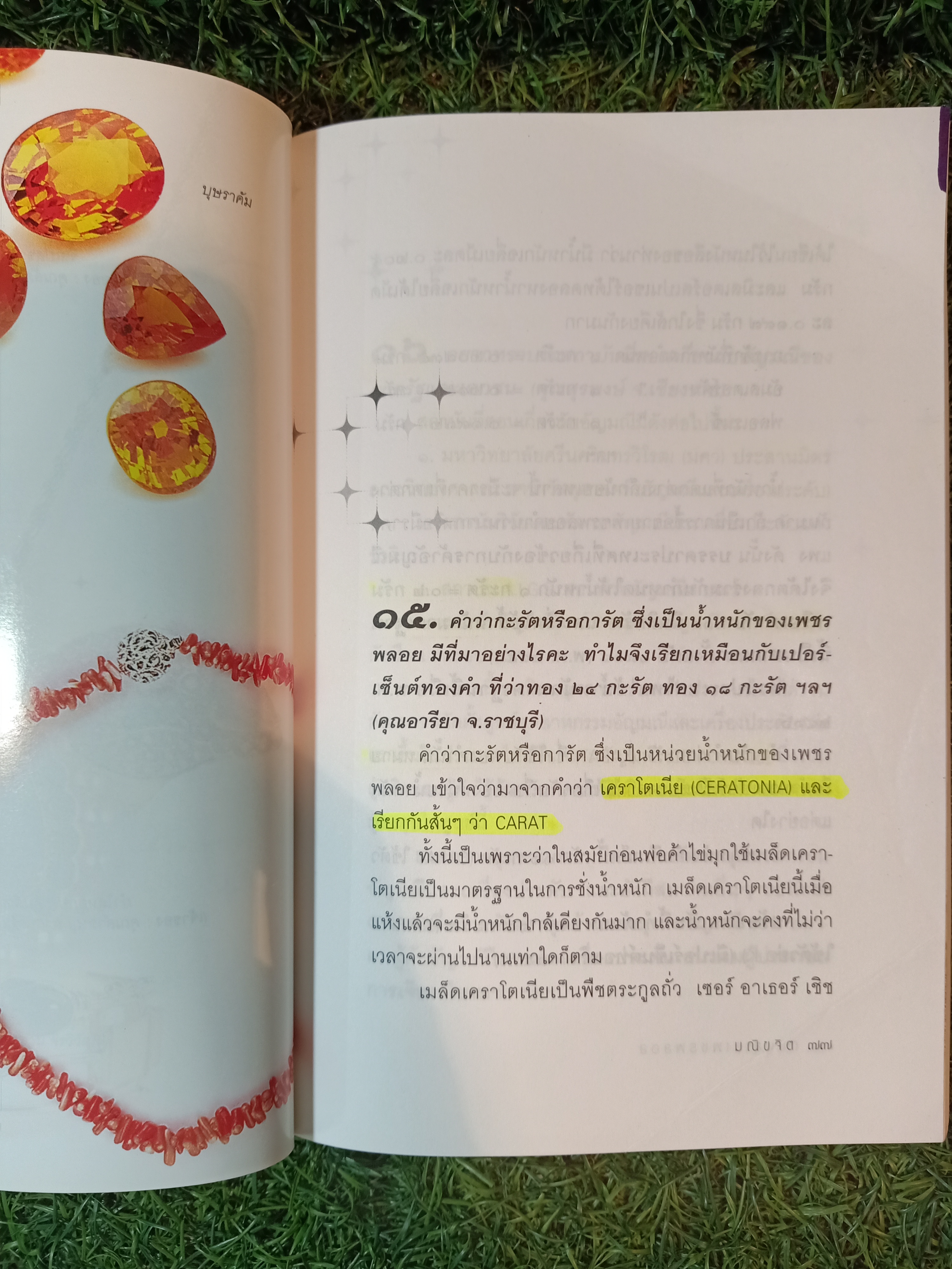 ถนนสาย เพชรพลอย (หนังสือมีรอยขีดเส้นใต้ตามรูปภาพที่ถ่ายครับ) / มณิขจิต