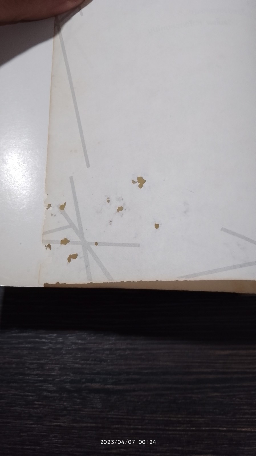 ขบวนการจอมทโมน / ธวัชชัย บุนนาค